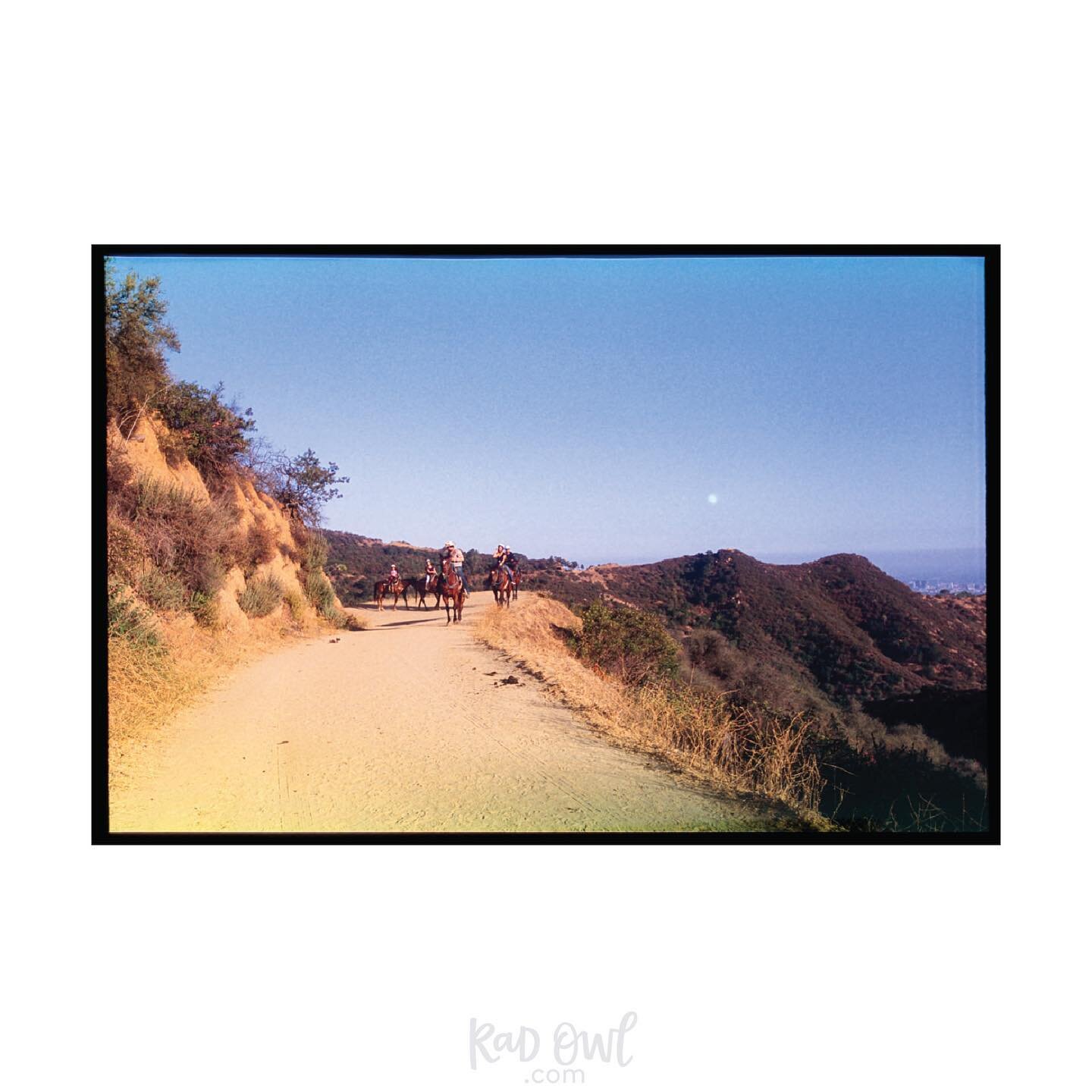 Fuji Velvia + Canon Rebel + Nikon Coolscan IV
June 2013 | Los Angeles, California
+
Looking back on them seven years later, this is probably my favorite frame from the roll. Which is yours?
+
Image description: People riding horses on the Griffith Pa