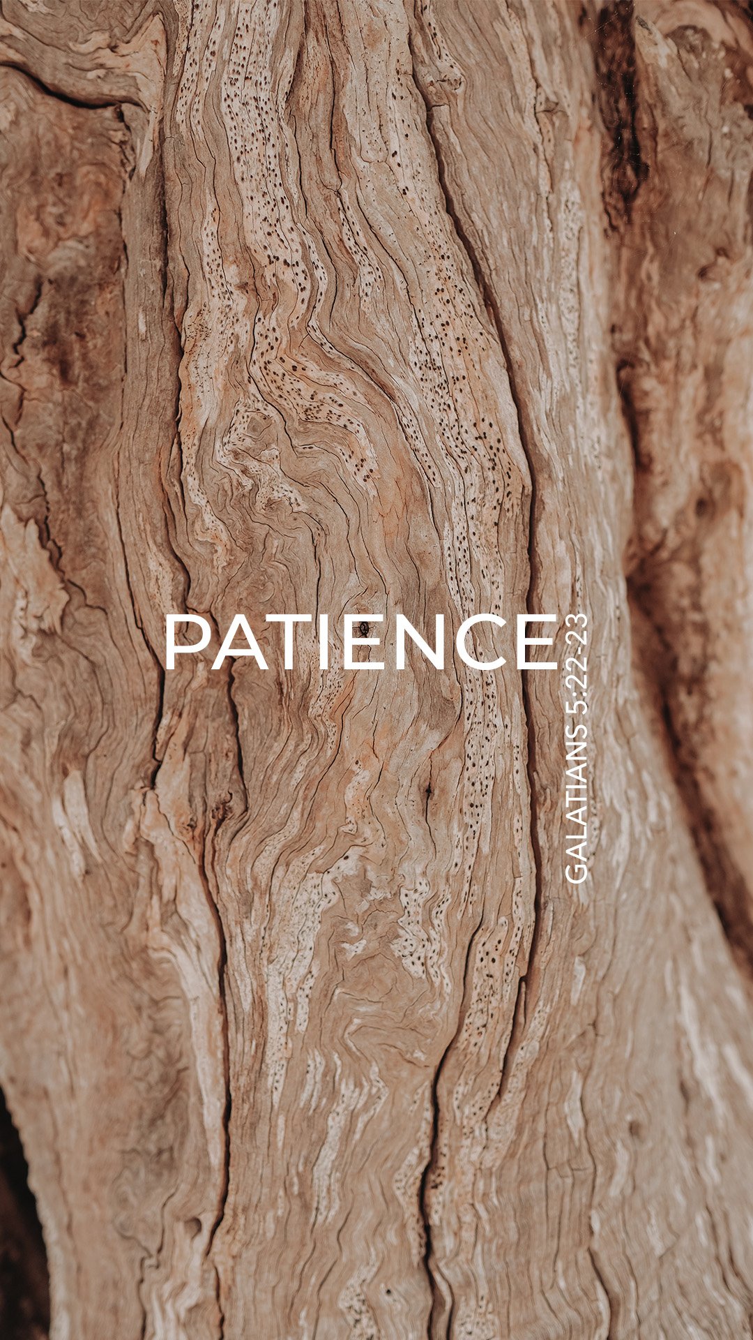 Patience Screensaver.jpg