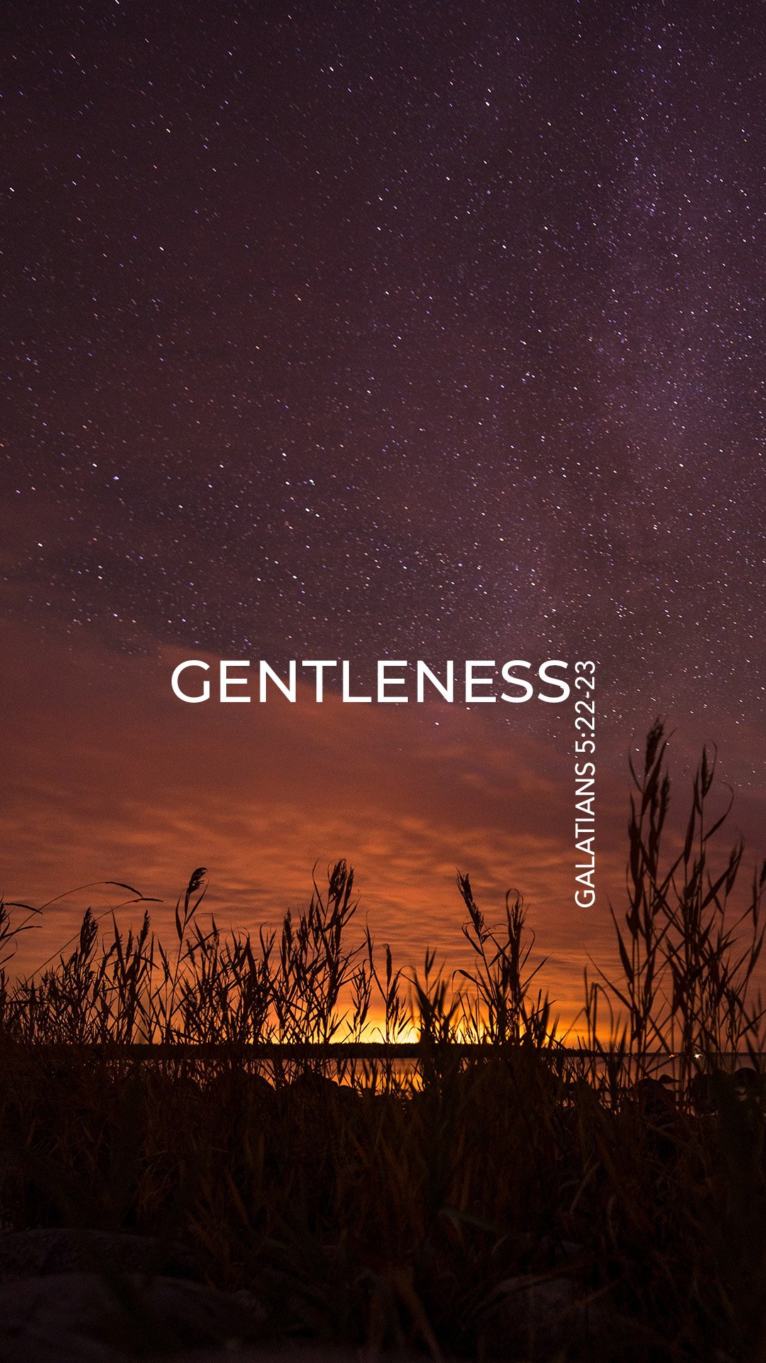 Gentleness Screensaver.jpg