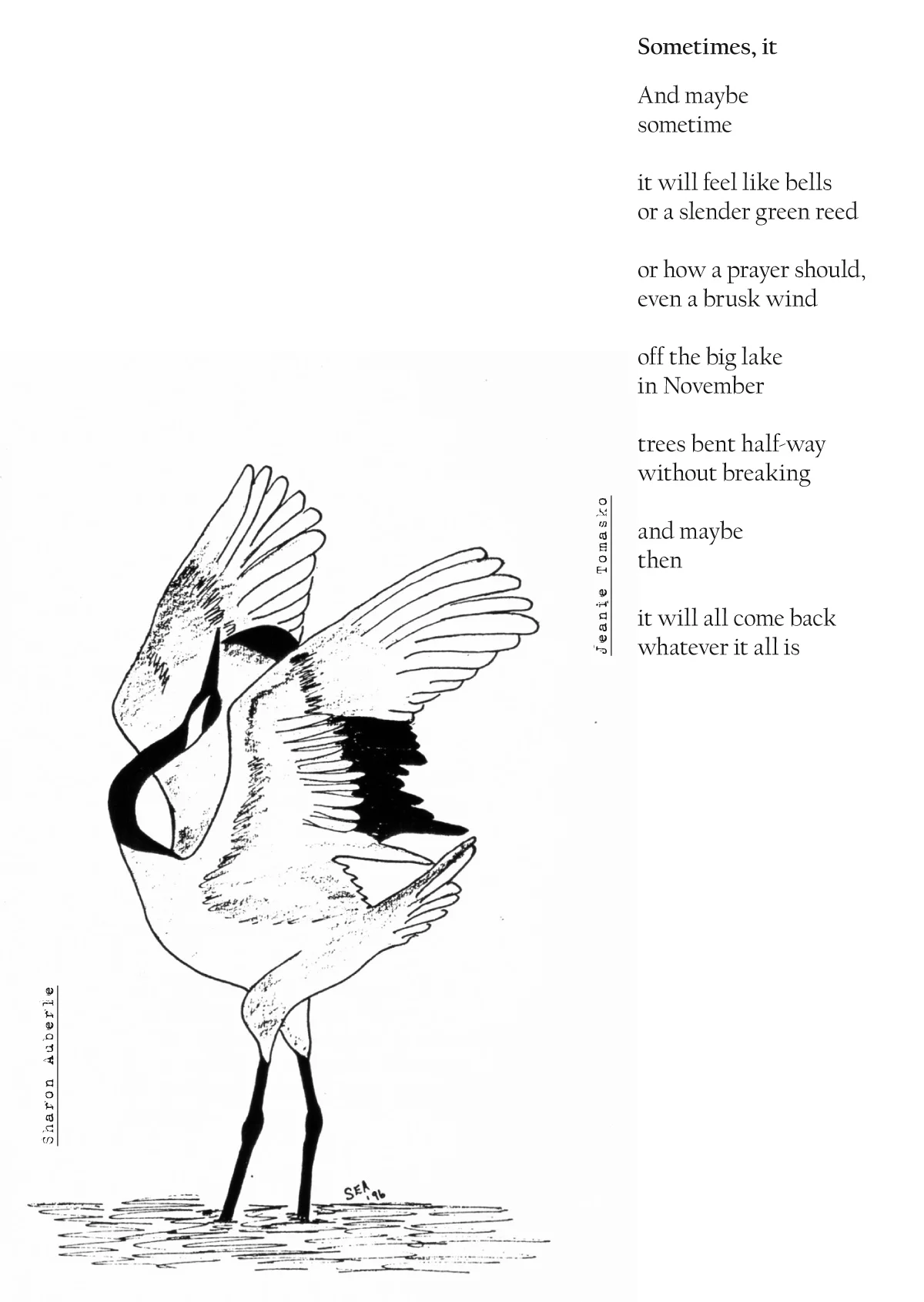 sometimes from dove tail.jpg