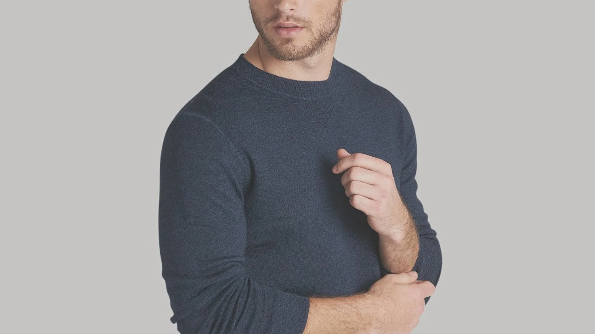 Merino2.jpg