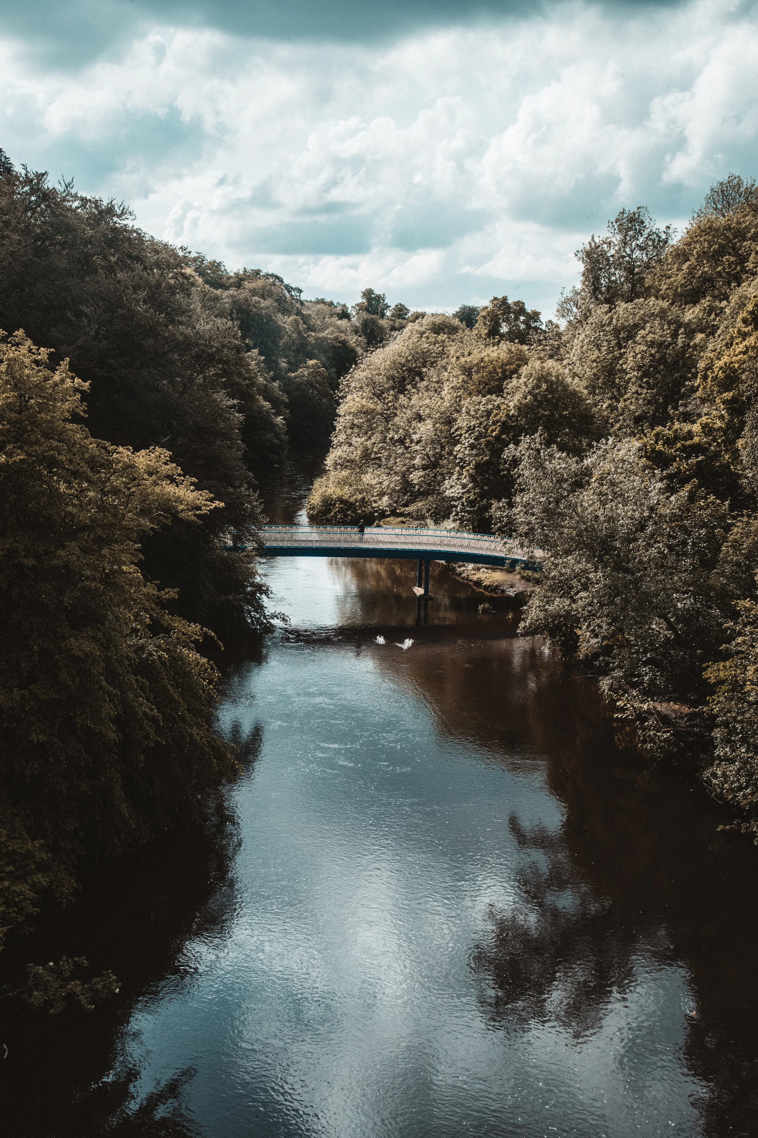 Botanical Garden in Glasgow
