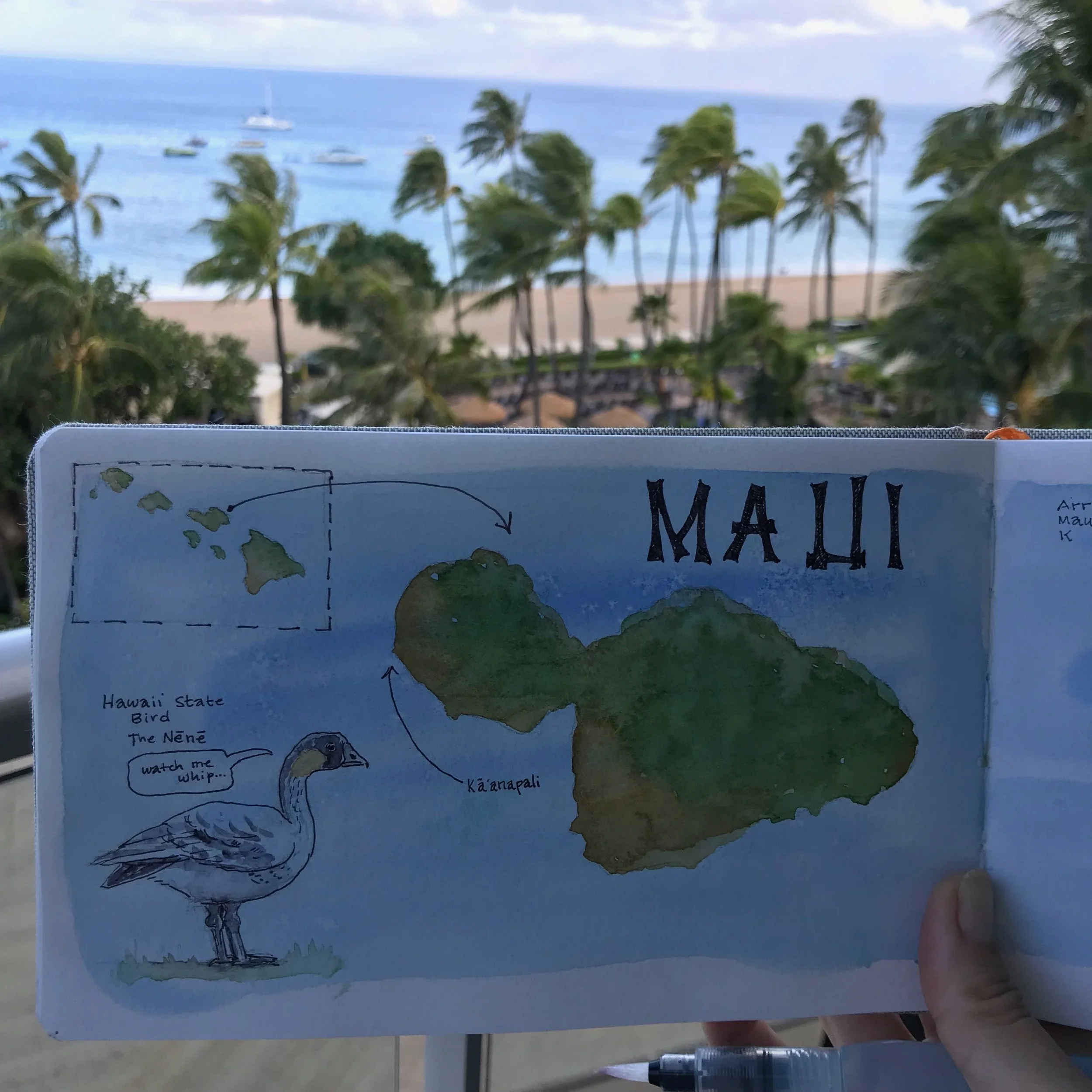 TravelMaui1.JPG