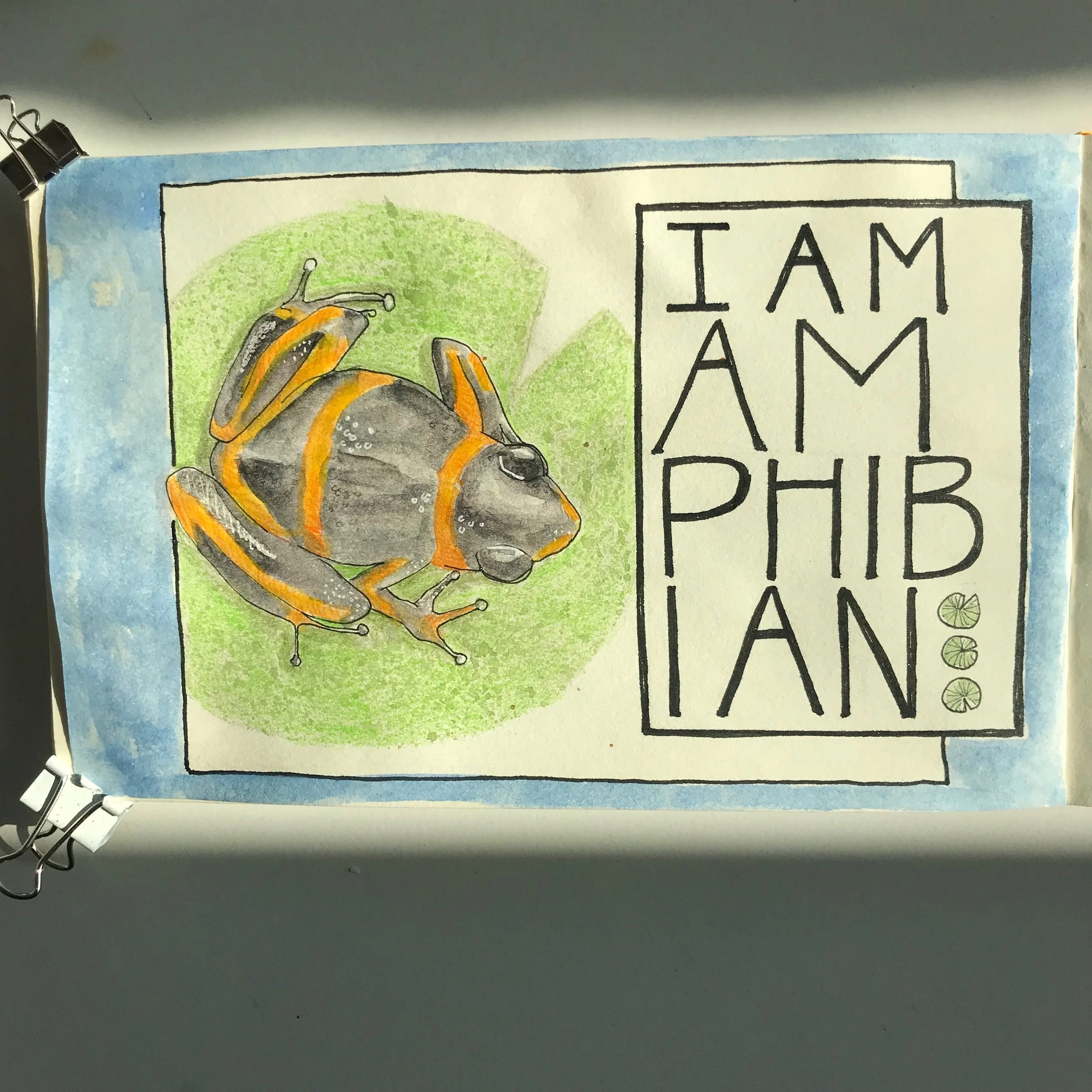 IAmAmphibian.JPG