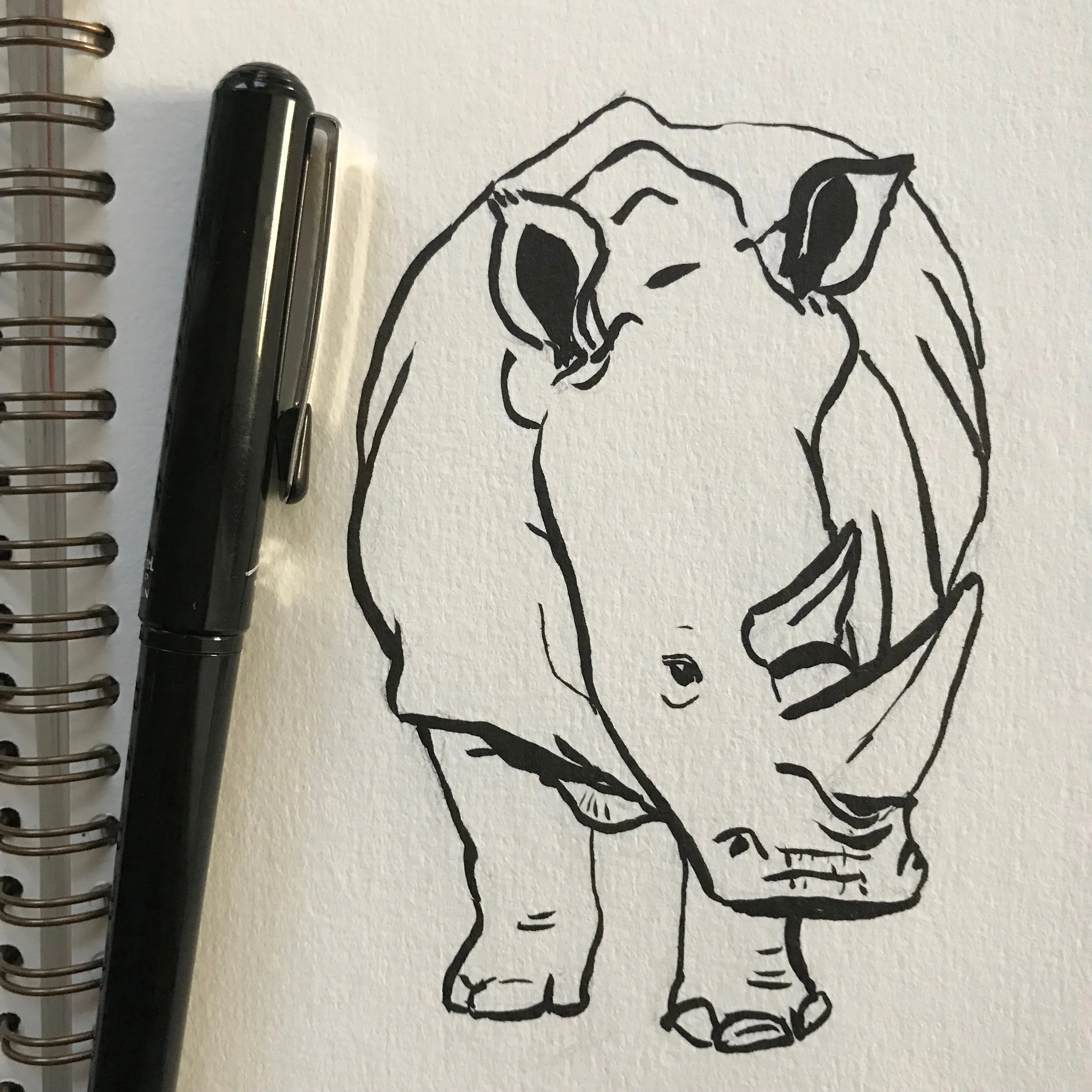 RhinoLineDrawing.JPG