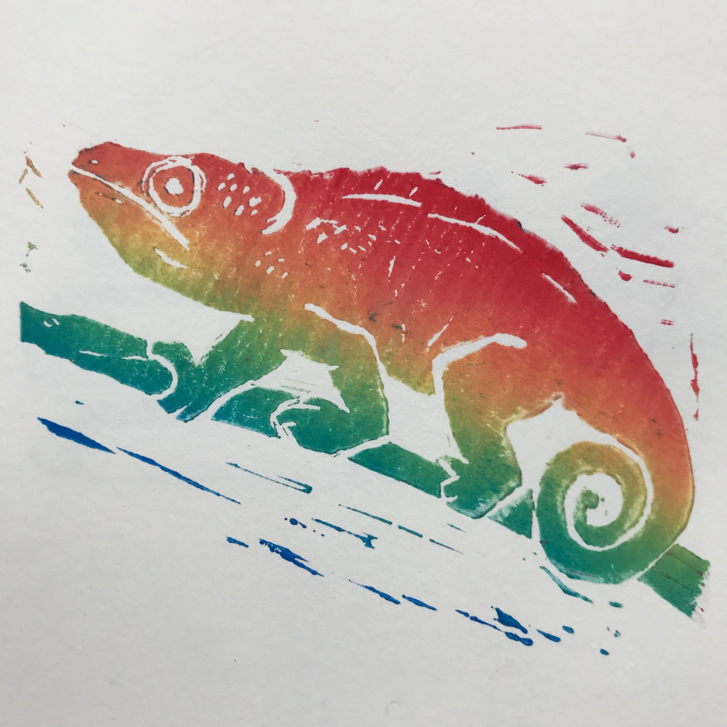 RainbowChameleon.JPG