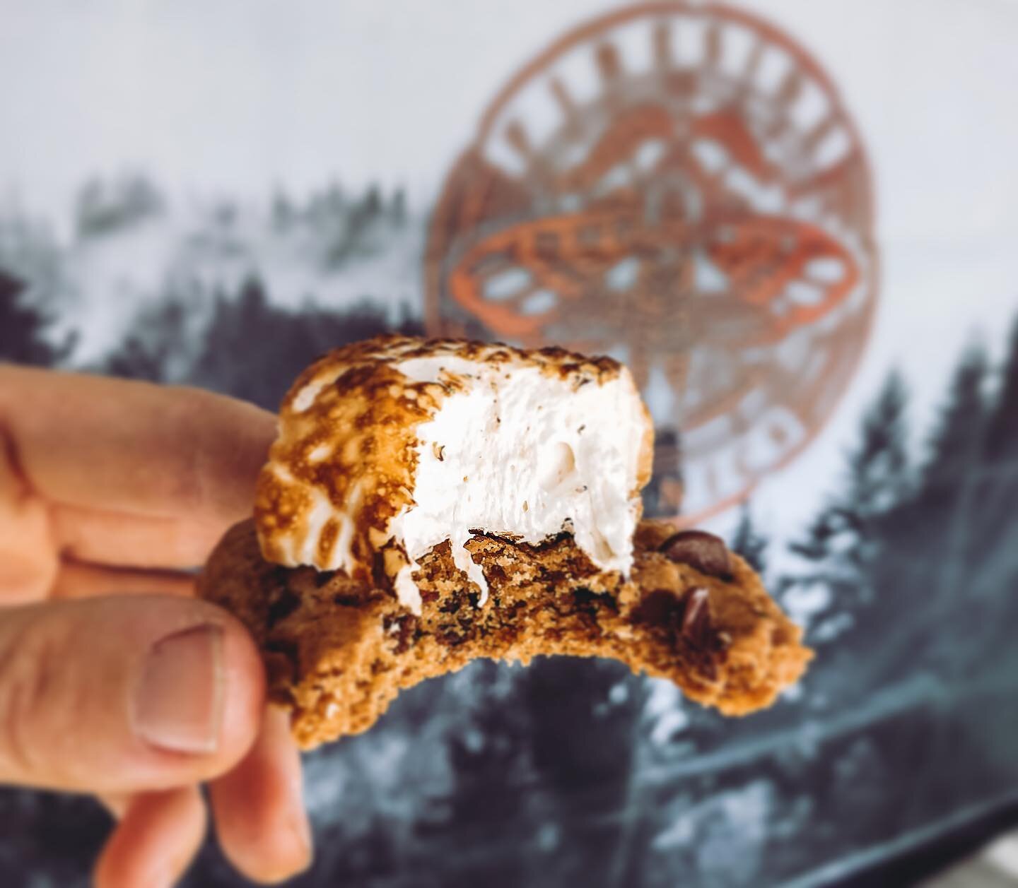 It&rsquo;s one of those mornings 😎
Our delicate vegan marshmallows, toasted atop a salted chocolate chip cookie 🤤
Brought to you by @mydandies and @thebreadunderground 
.
.
#sweet #cookiesforbreakfast #cookies #marshmallows #toasted #chocolate #smo