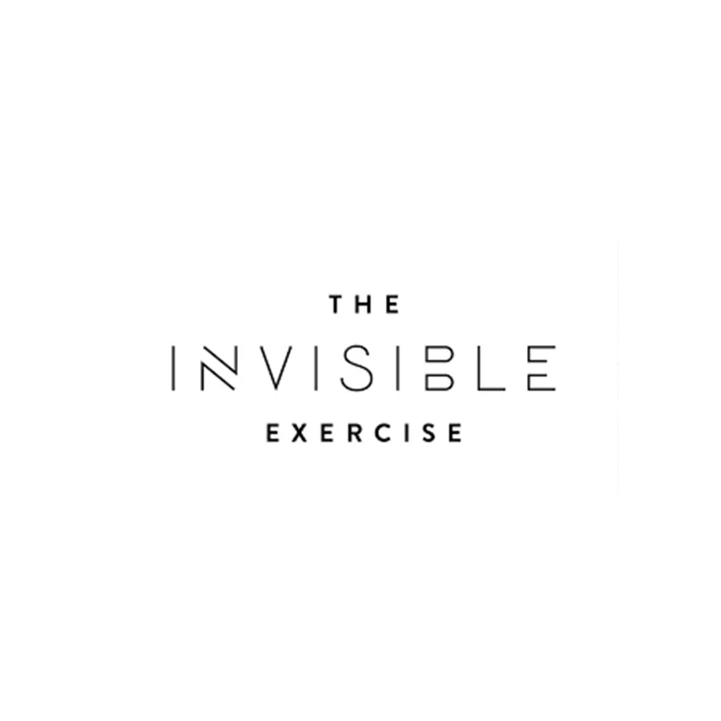 The-invisible.jpg
