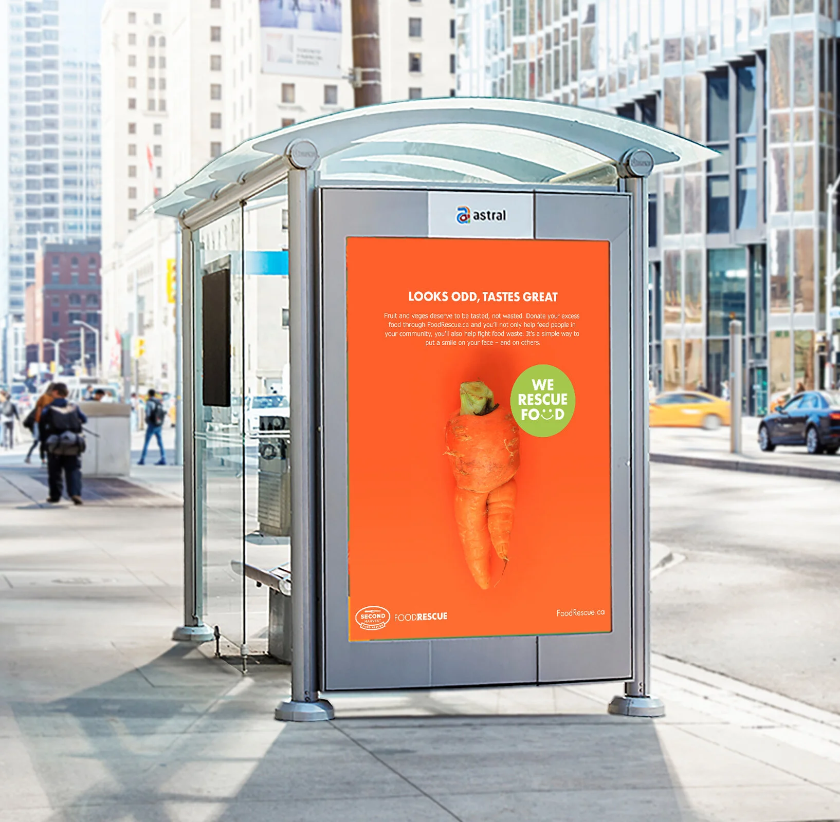 bus_shelter2_817x800.jpg