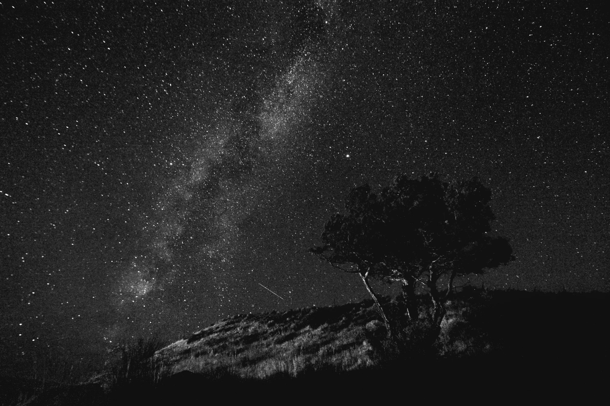 Astro BW.jpg