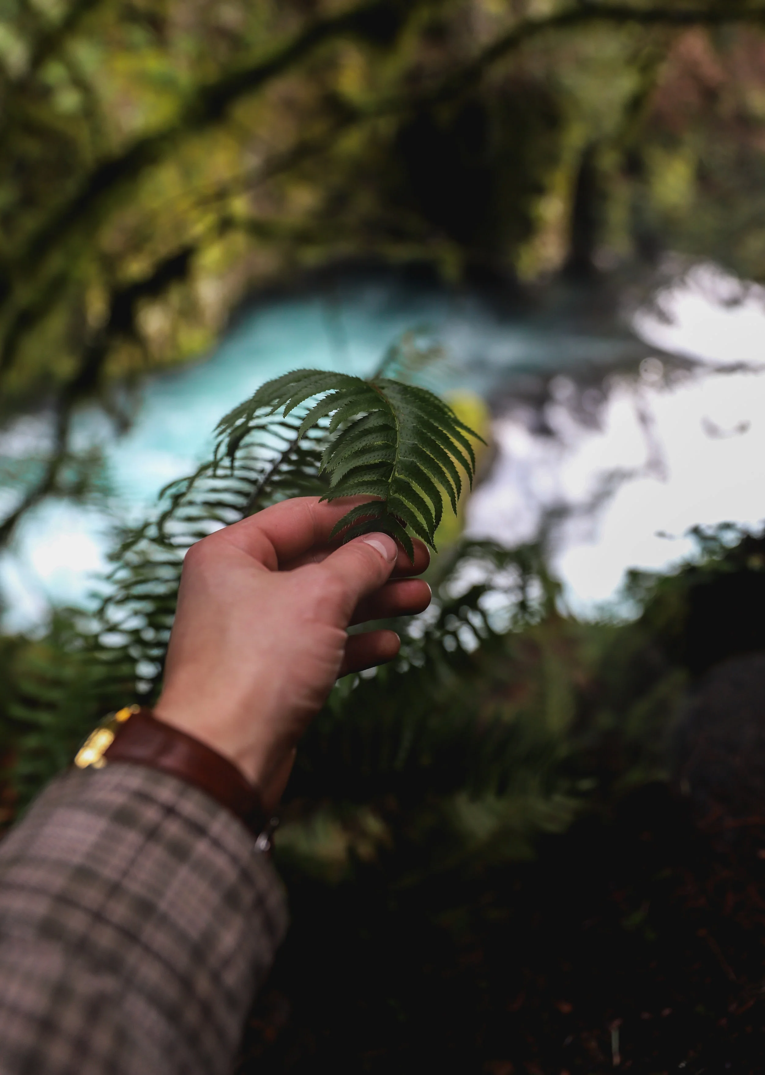 Some Waterfall tests-3.jpg