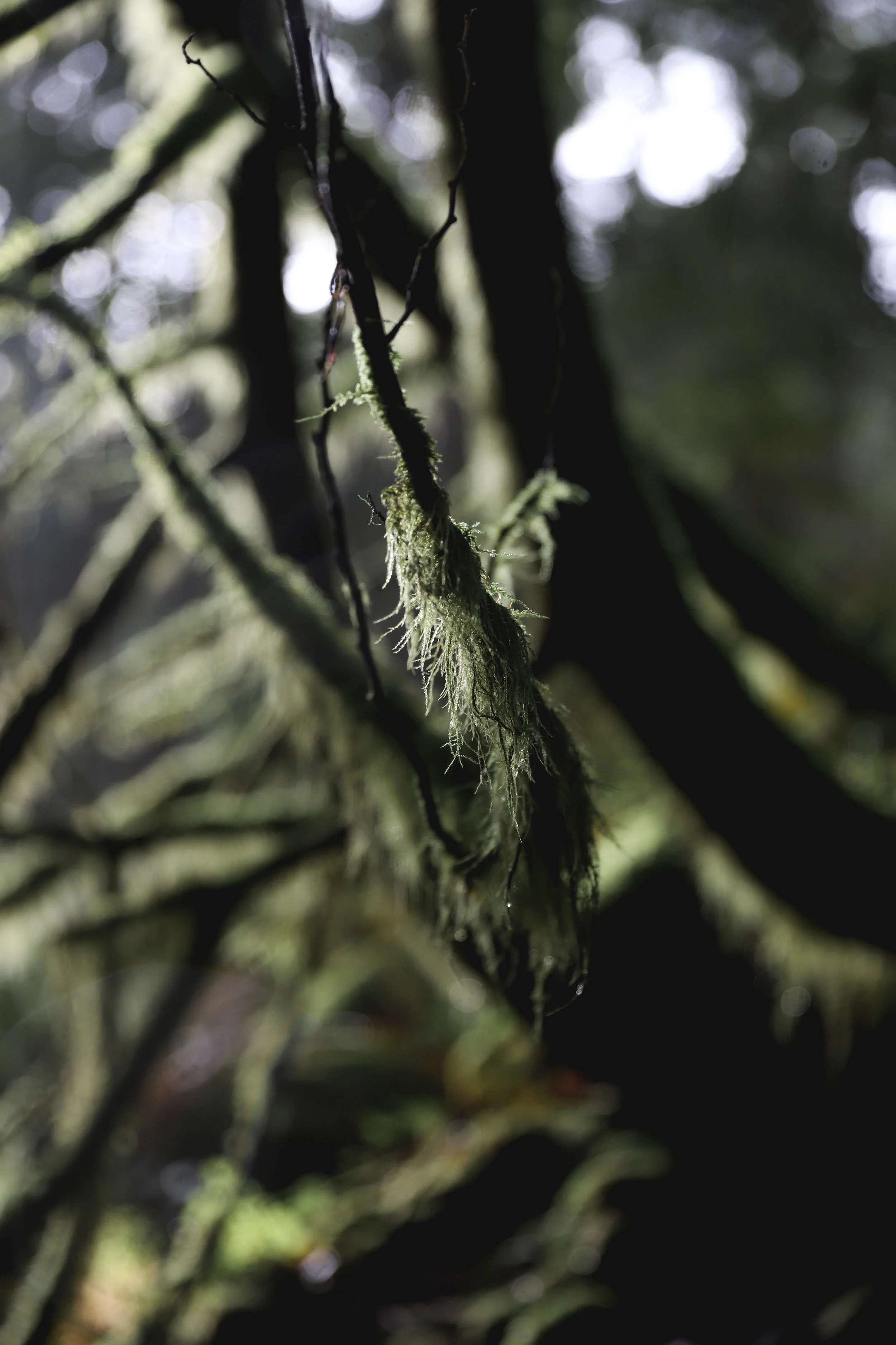 Some Waterfall tests-4.jpg