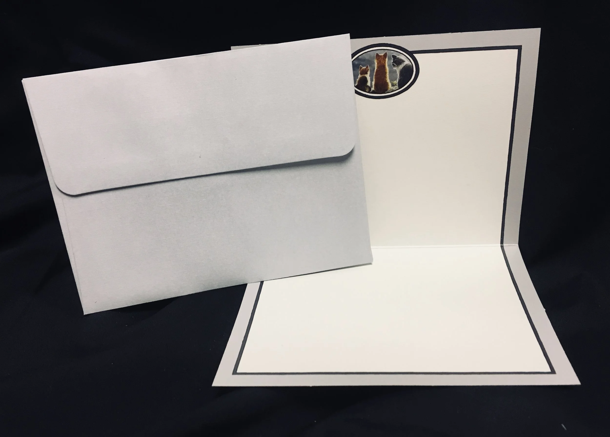 Cat Whisperers Boxed Note Cards