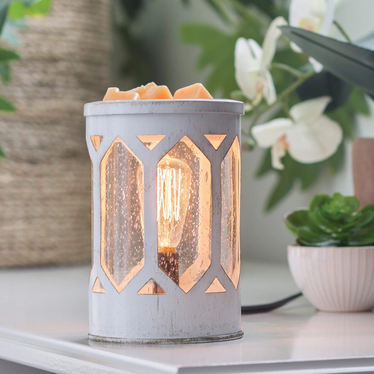 Arbor Edison Bulb Illumination Fragrance Warmer