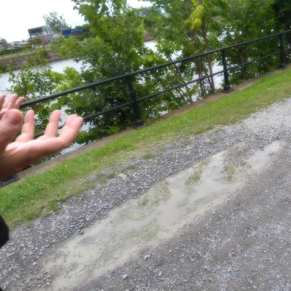 walkingwith.JPG