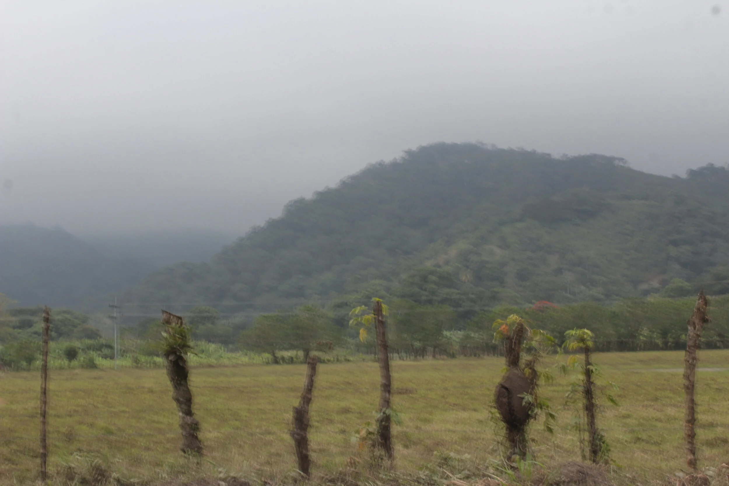 When Our Hope Is Broken