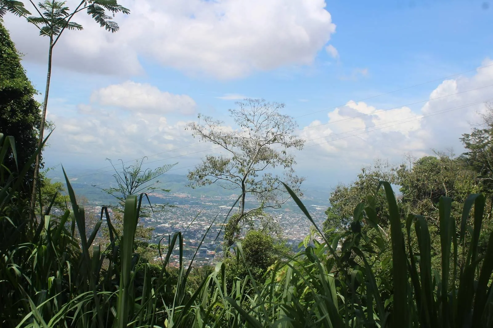 Friendship, adventure and … Ernesto !! We lost them!