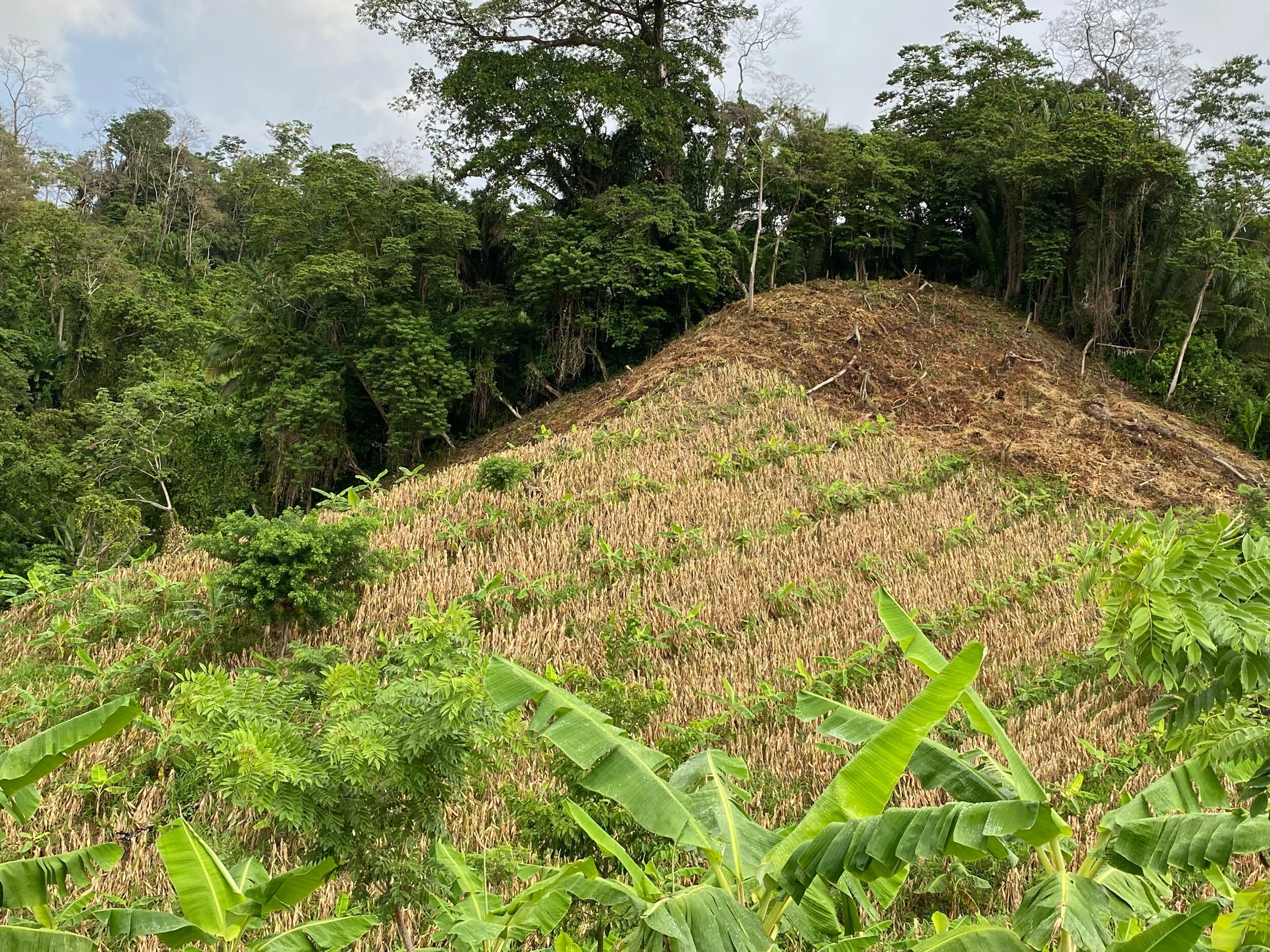 270907B9-56C0-4C3D-8193-B35F58EAC39B