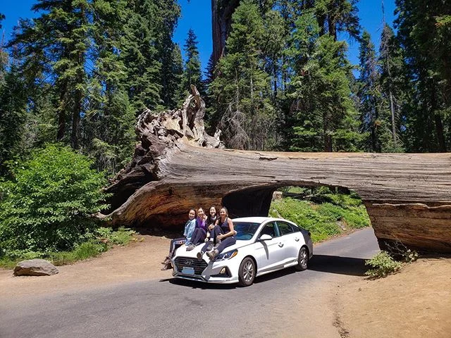 Roadtrippin&rsquo;🌲🏞