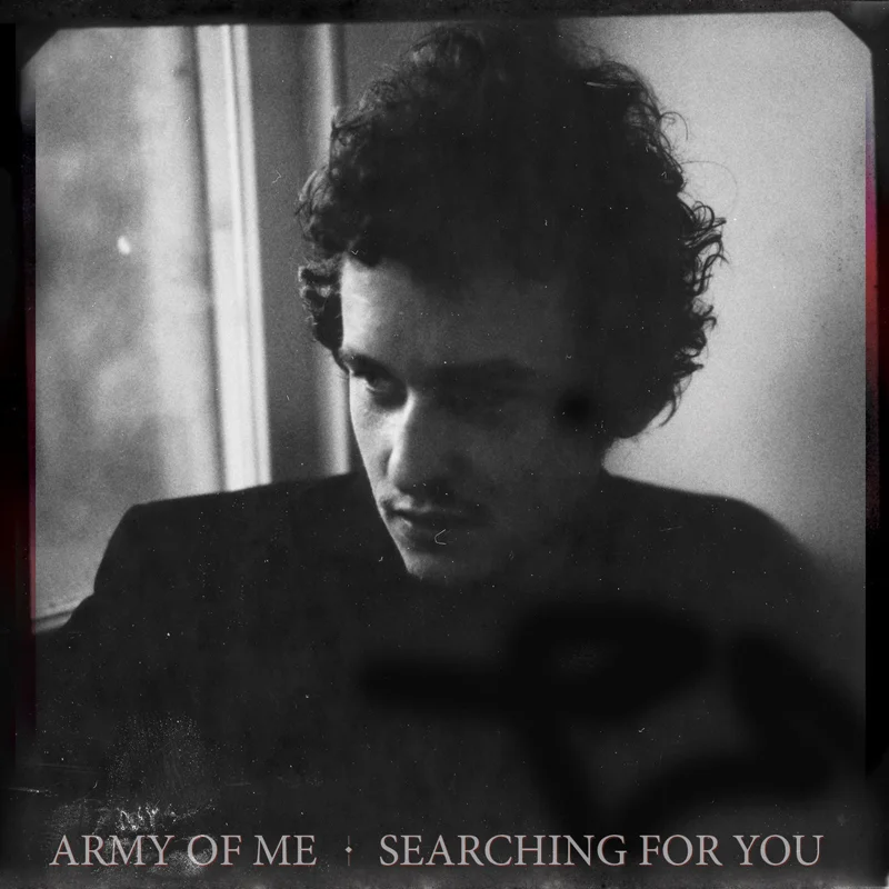 Army Of Me - Searching For You.jpg
