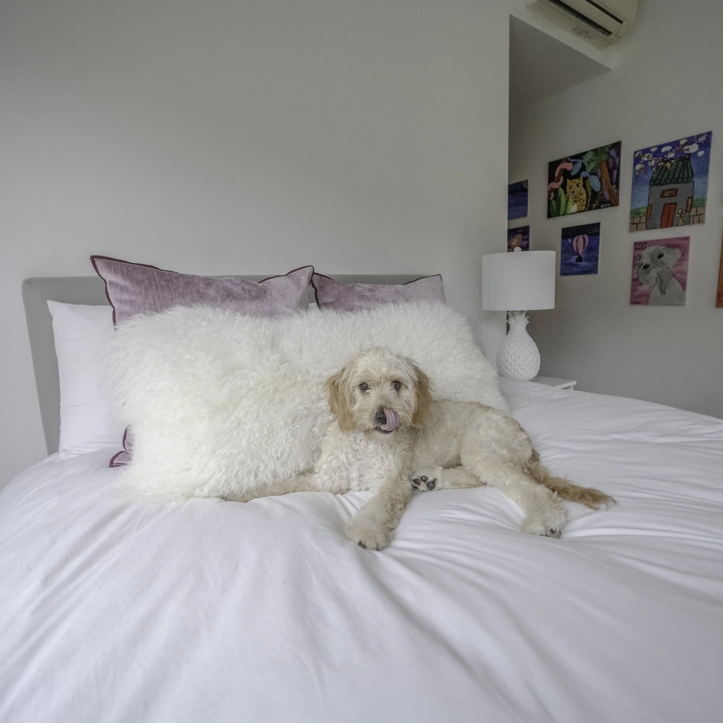 GRACE_NOV 2022-9920.jpg