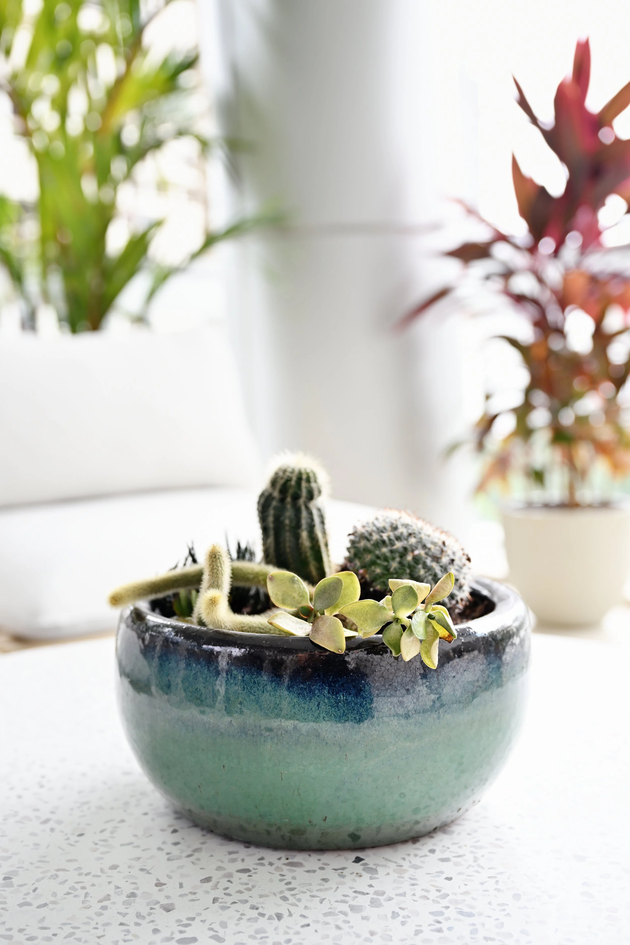 57 Grange Rd 075.JPG