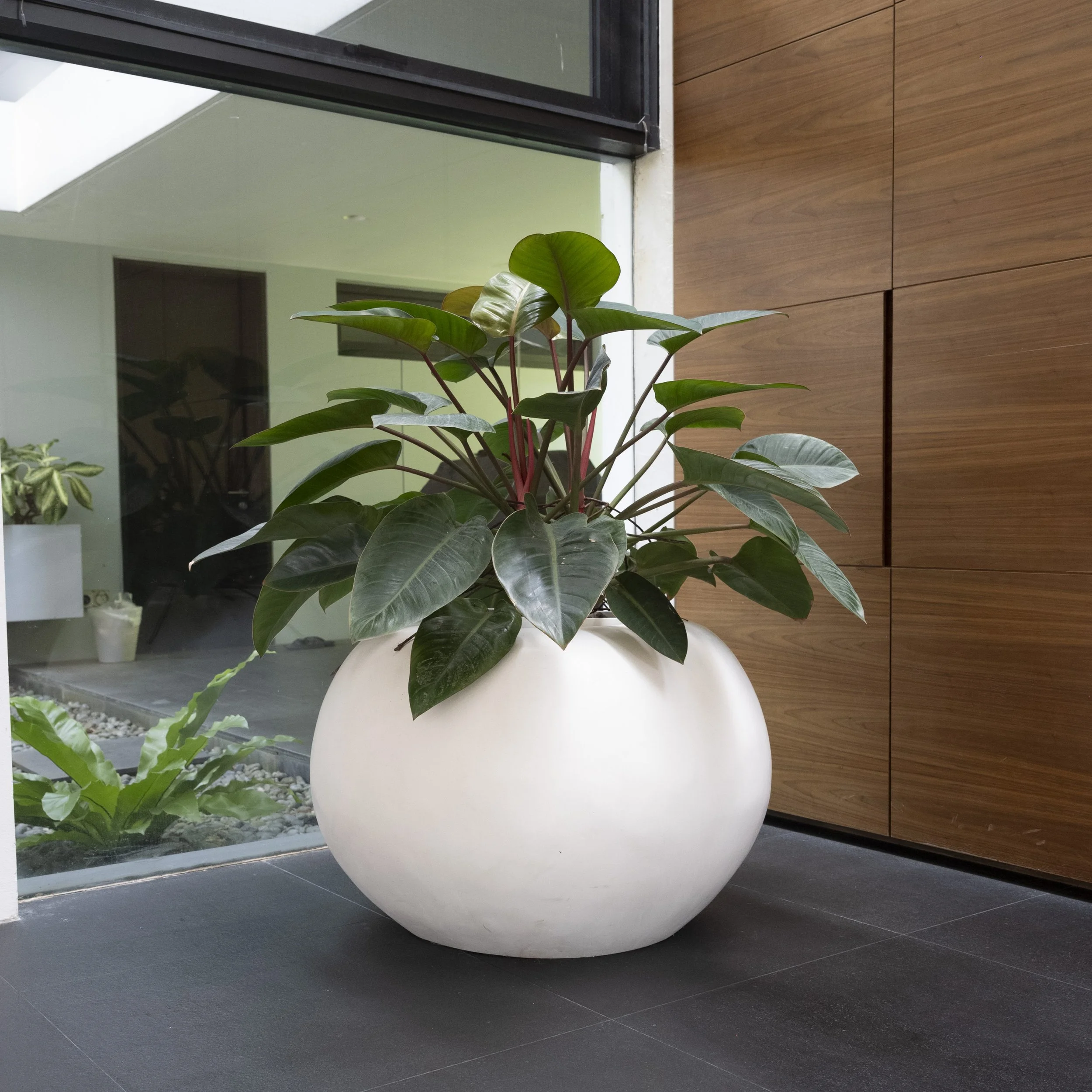 Havana Designs_Dempsey-7072.jpg