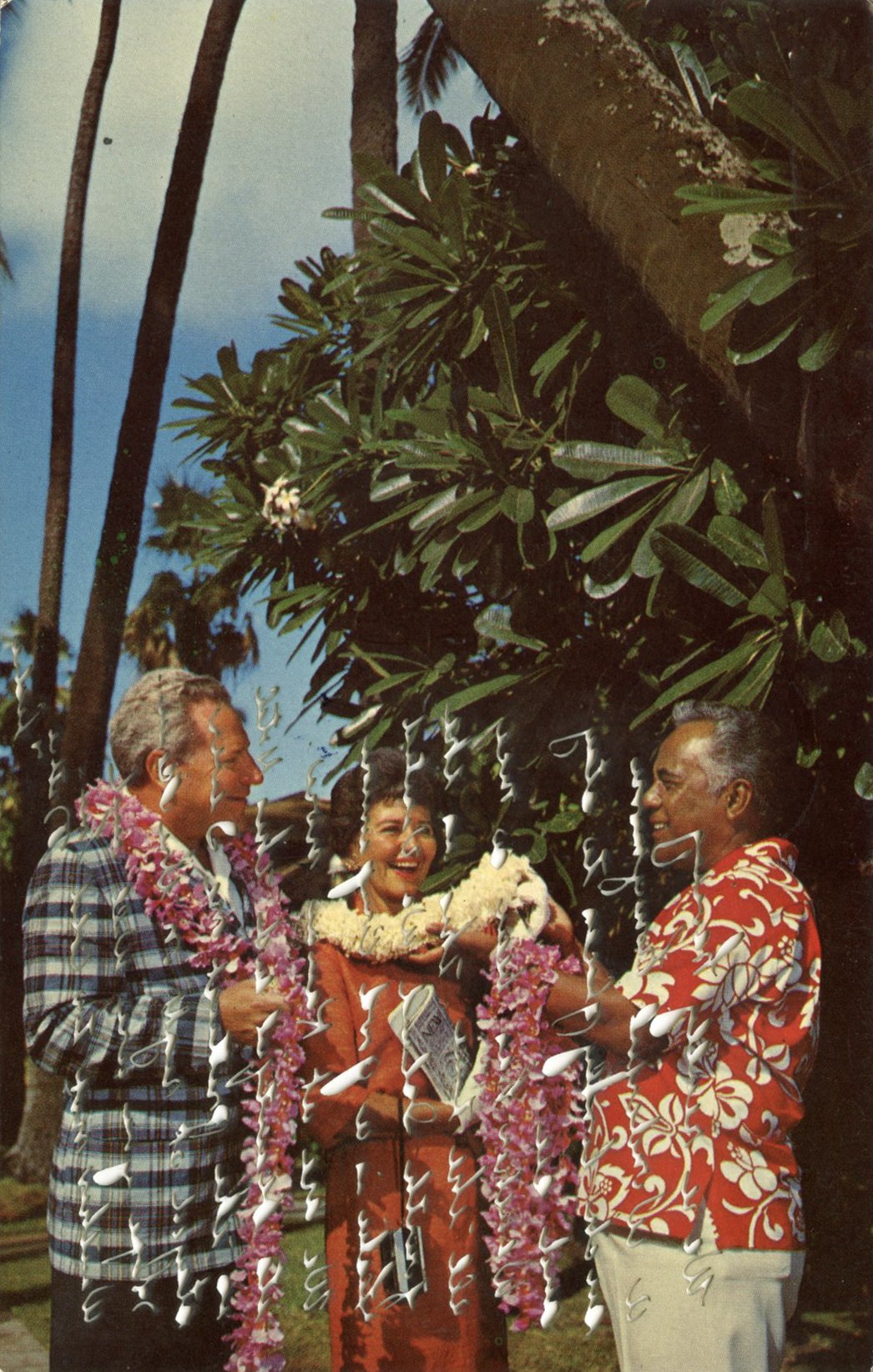 An Aloha Welcome