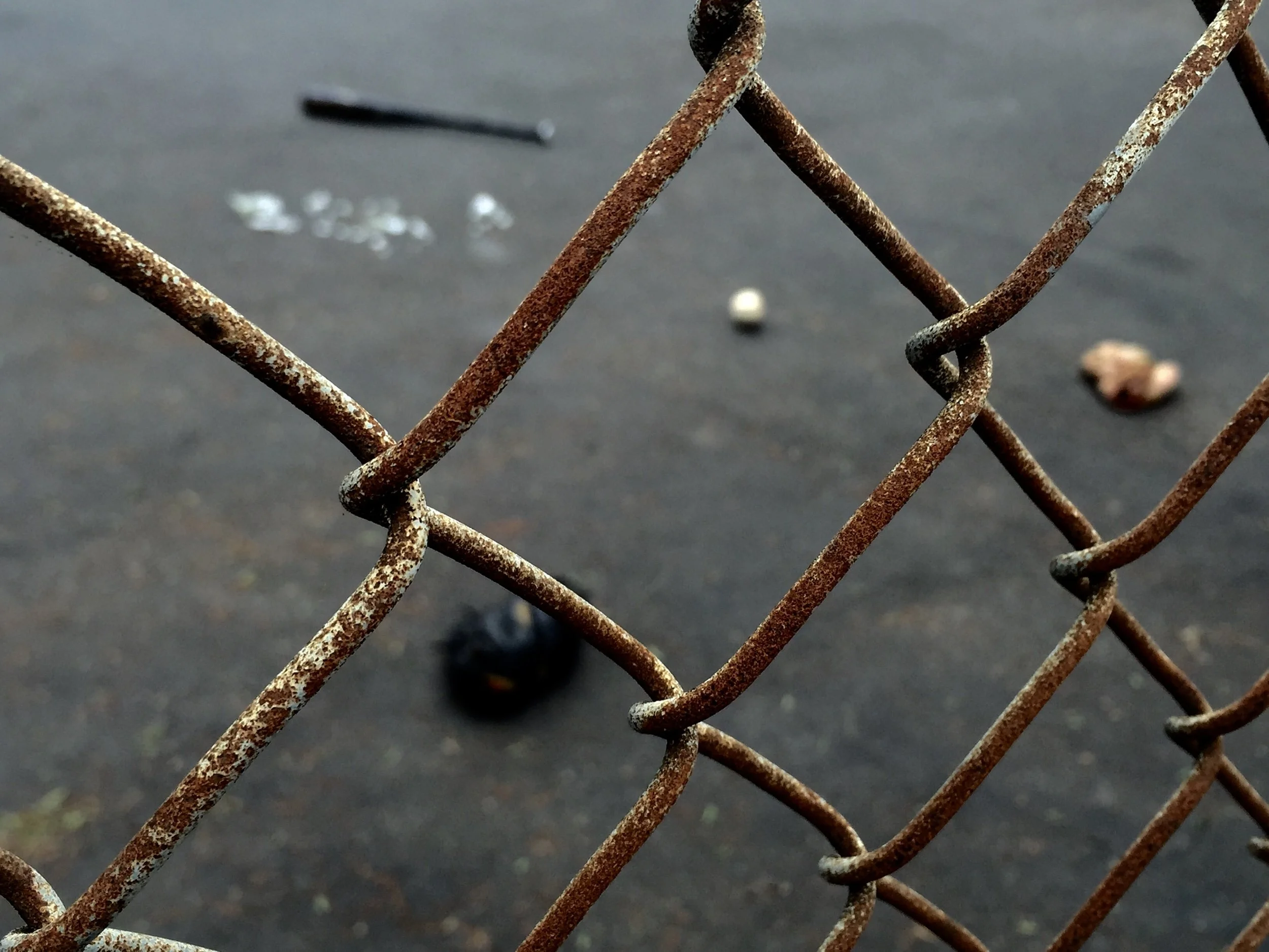 Rozzie fence 1.jpg