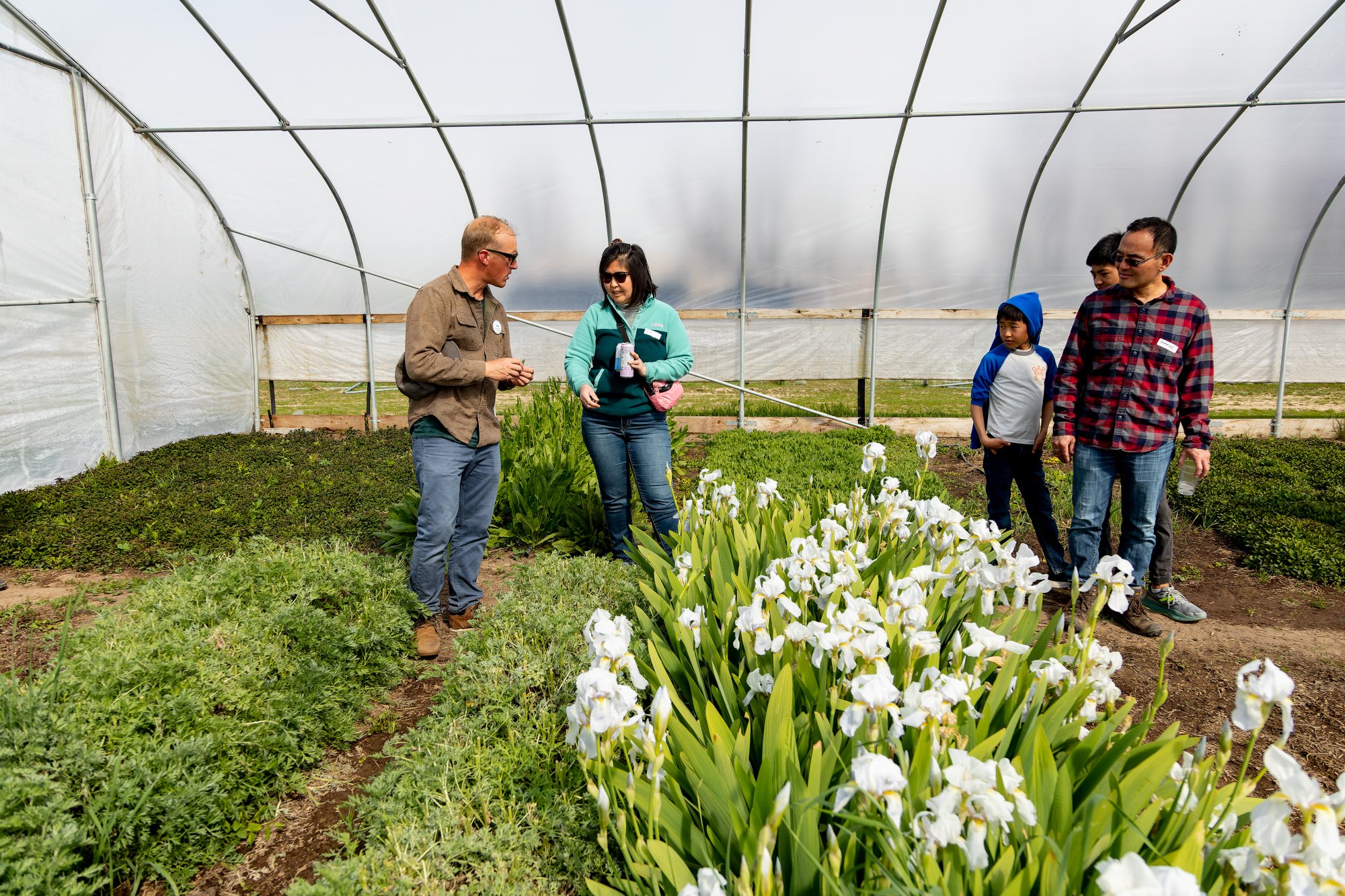 Visitors look at iris growing in the greenhouse.