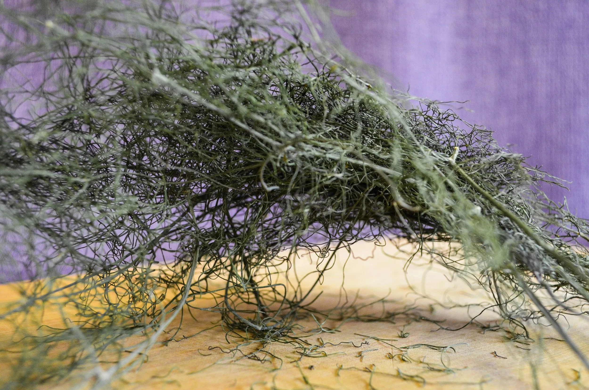 https://i.etsystatic.com/14295135/r/il/36a2e5/1695657645/il_fullxfull.1695657645_nq0h.jpg