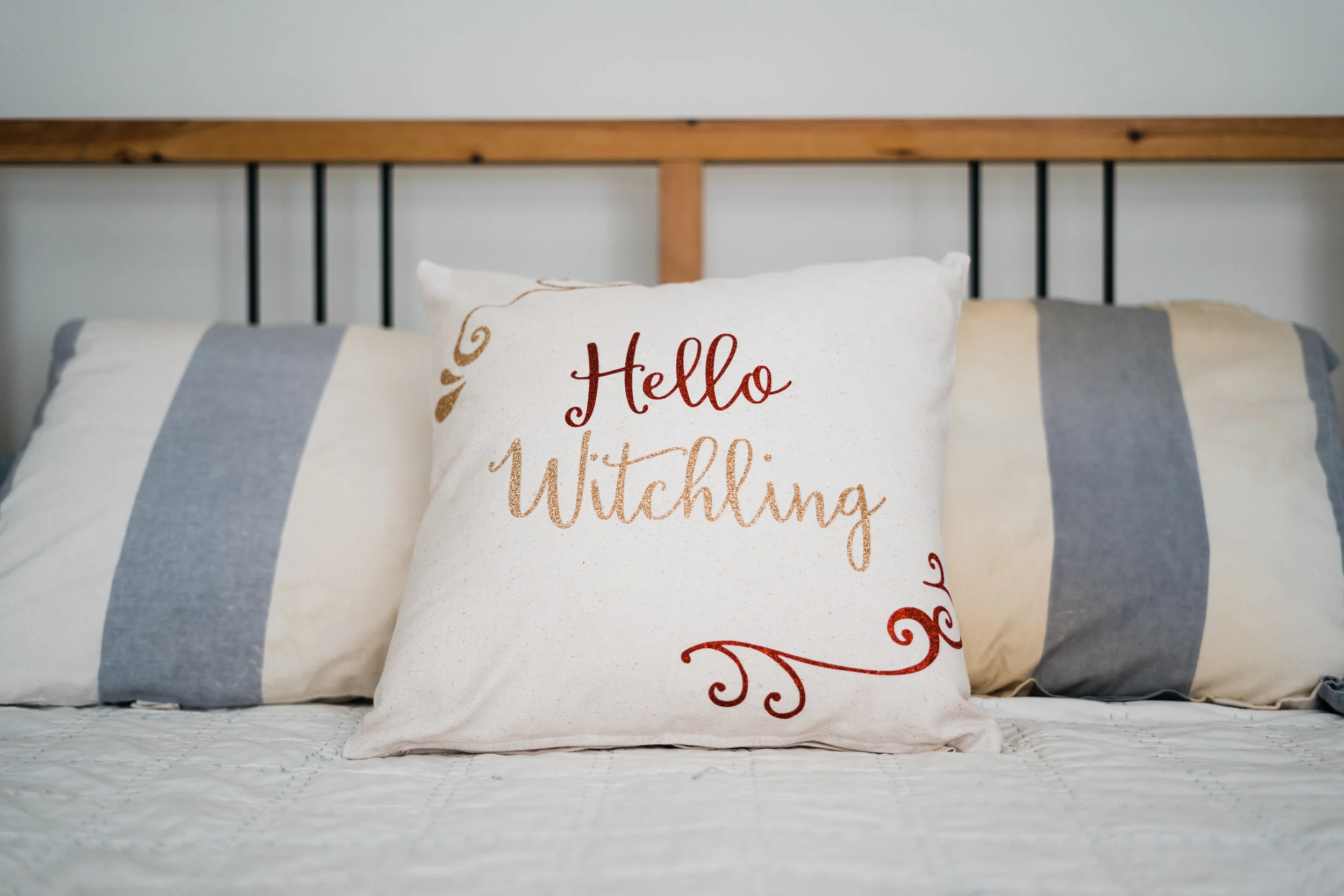 togpillow-1.jpg