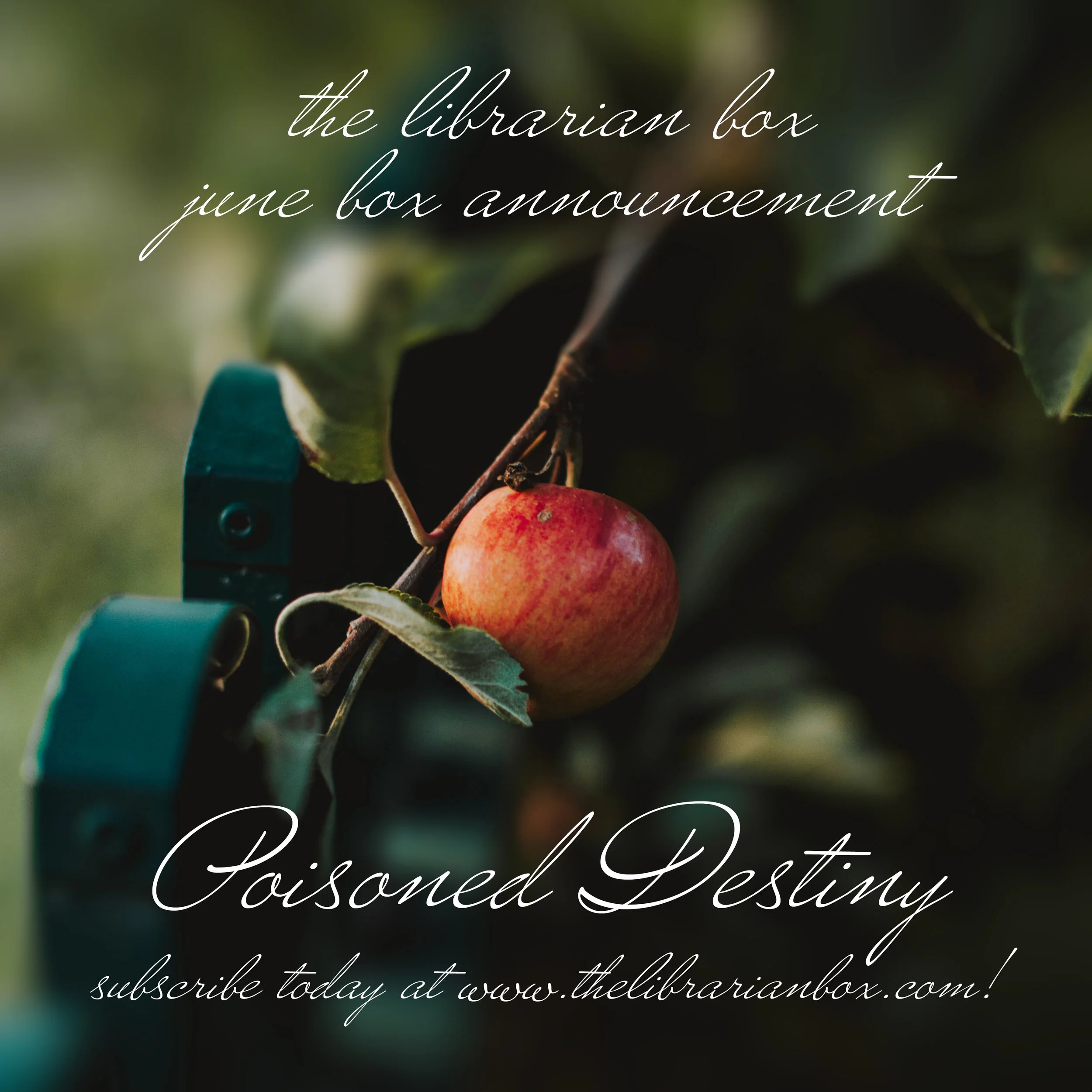 PosionedDestinyTeaser.jpg