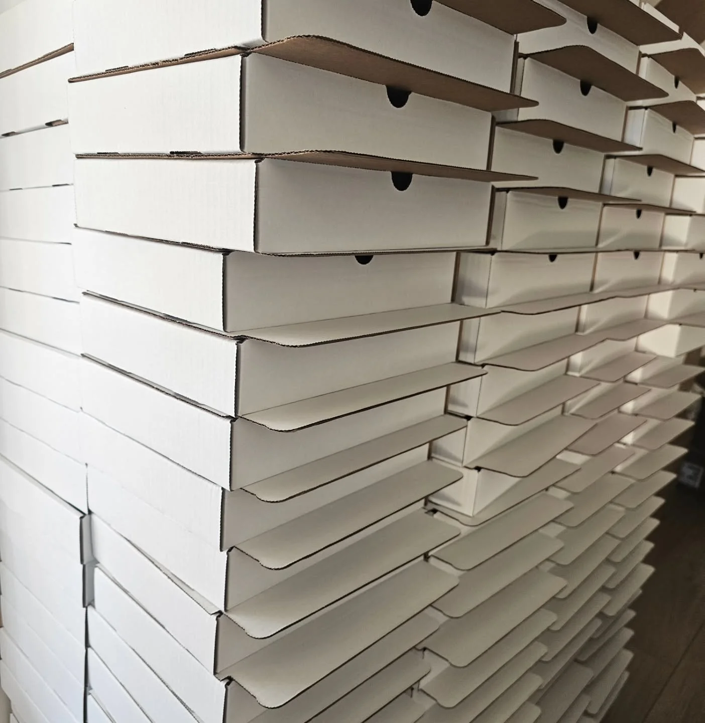 📦✨ Hey, wonderful customers! 

We wanted to give you a quick update on your exclusive editions of Katabasis. All the boxes are packed and ready to go! 🎉 We&rsquo;re just waiting on the Special Edition dust jackets from the printers, which should be