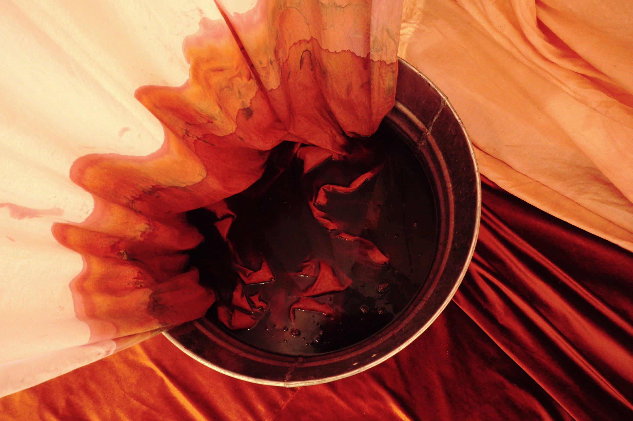 Hearstrung - absorption process -cochineal dye