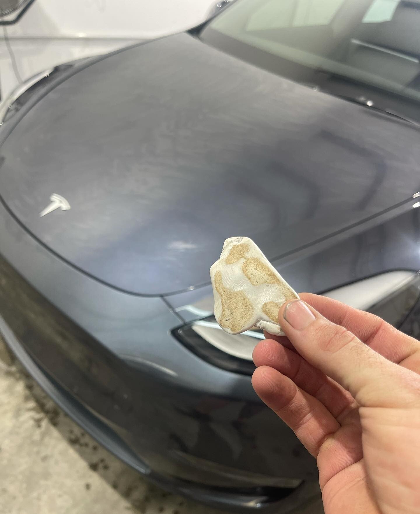 Brand new Tesla coming in for a correction and coating. 

This clay bar was white before starting the decontamination process on the hood! 

We always make sure the vehicle is completely decontaminated before we do any polishing and coating.