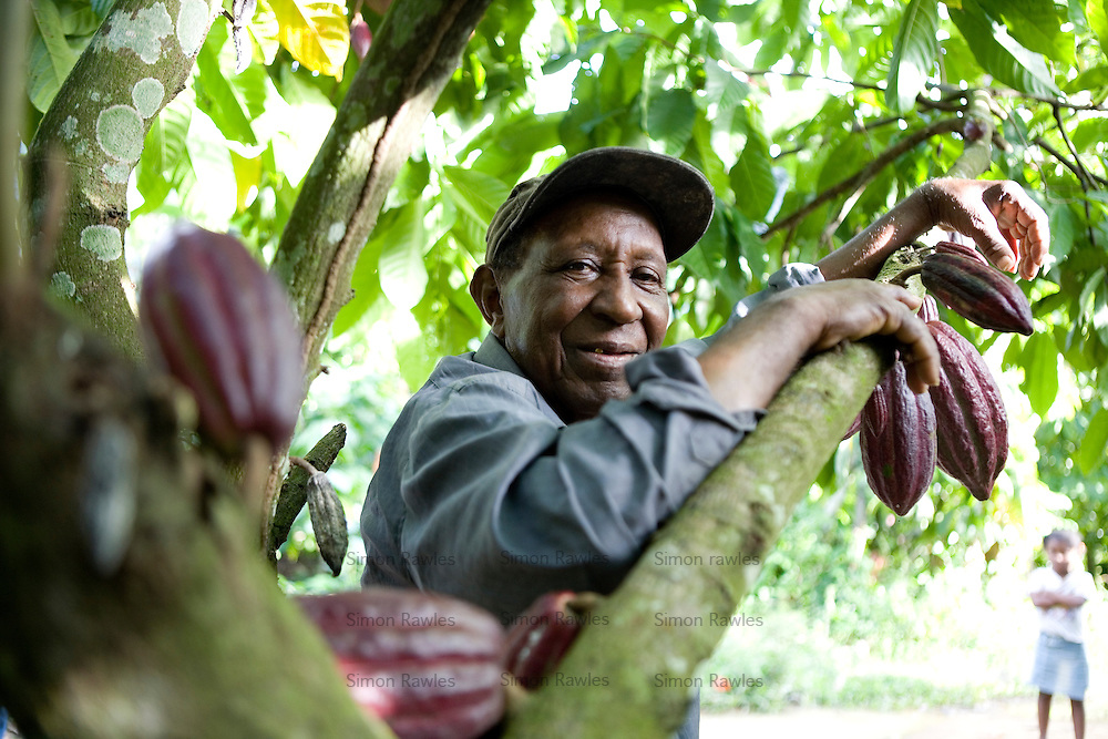 Fair-trade-cocoa-45.jpg