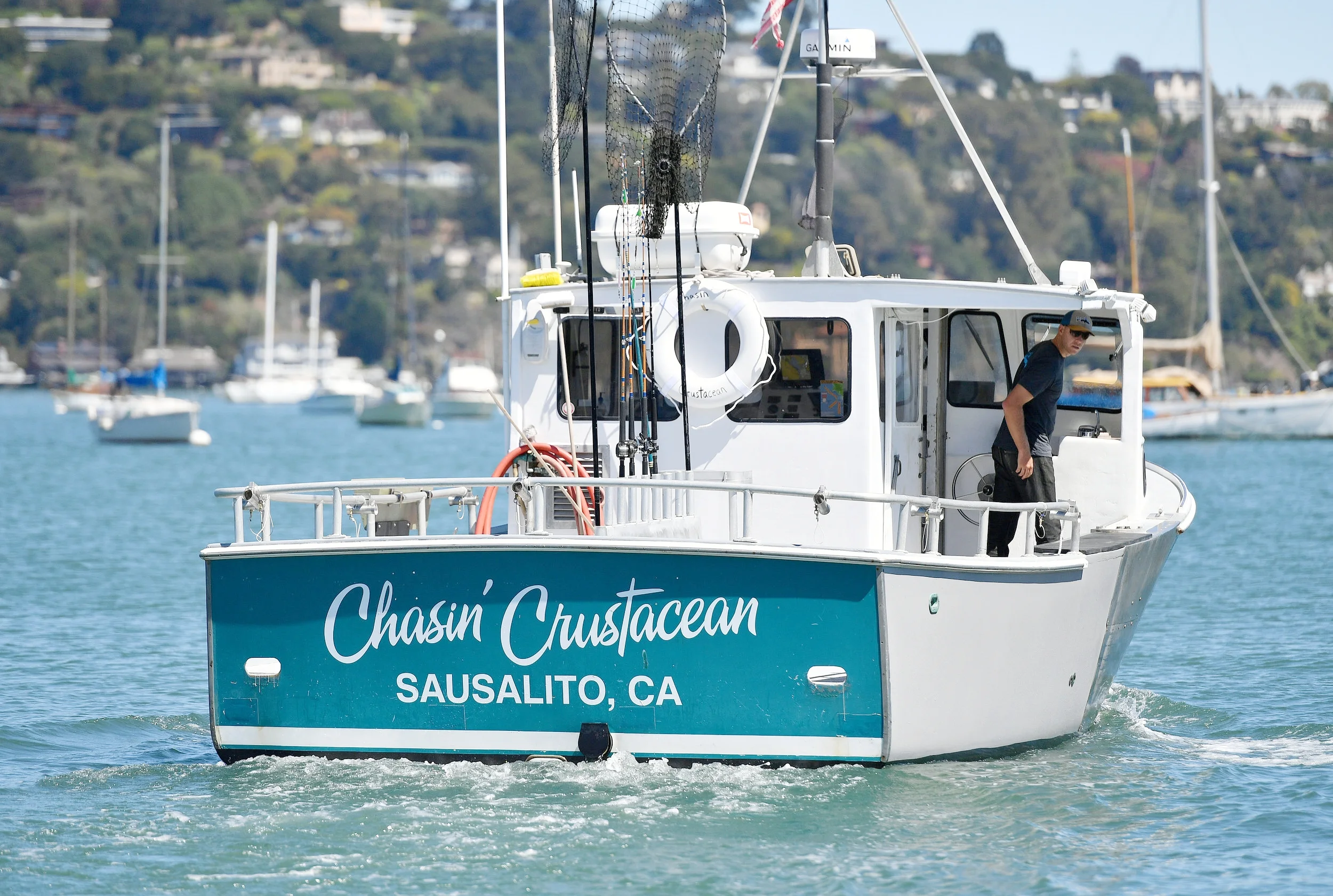 crabs0904_ph2_36764470 (1).jpg