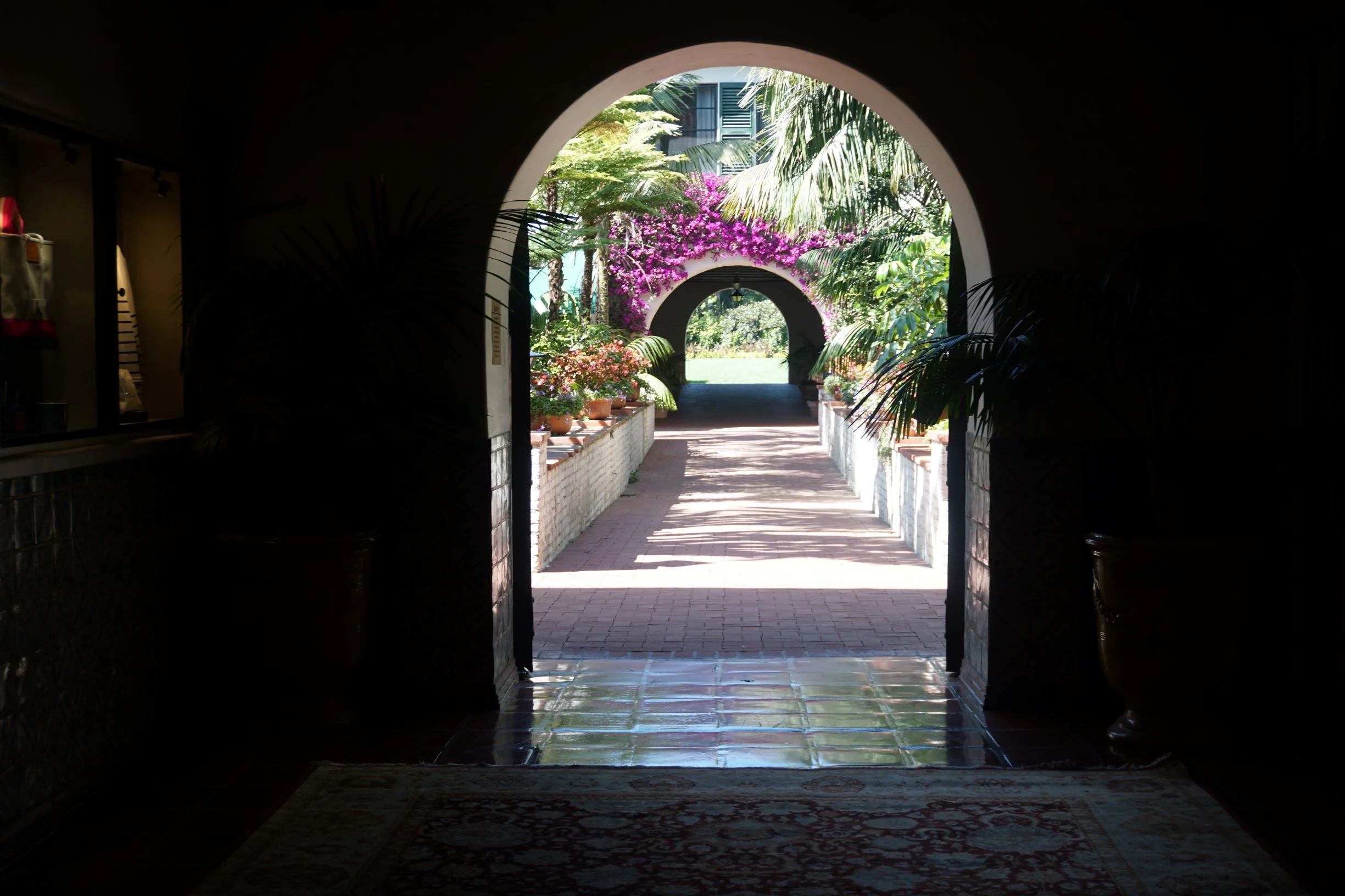 MANIFESTATION- Taking Action