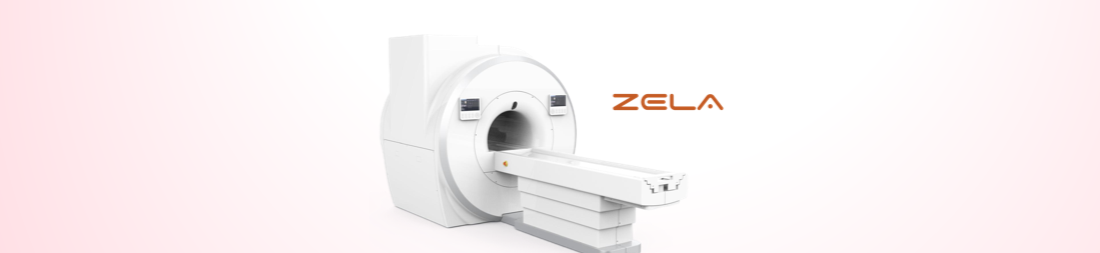 web banner zela.png
