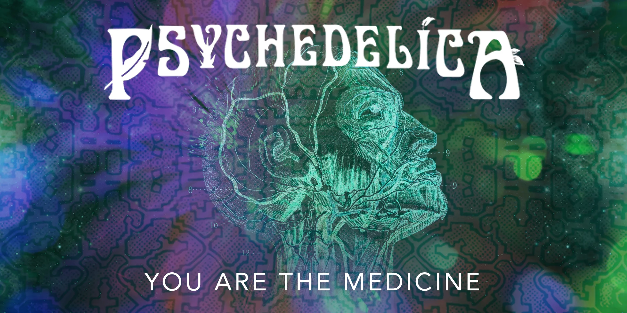 173766_p_e14_you-are-the-medicine_2048x1024.jpg