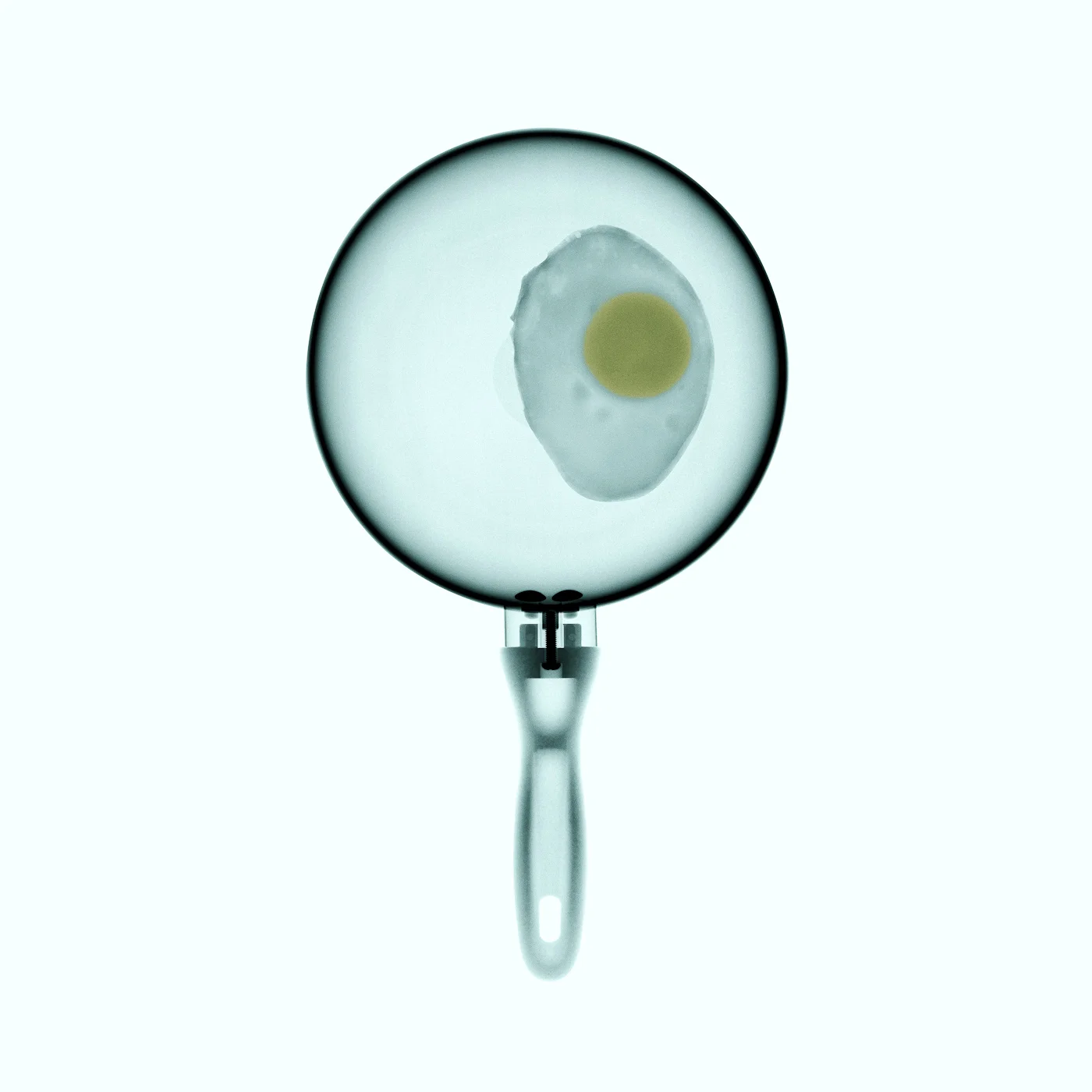 David_Arky_x-ray fry pan2.jpg