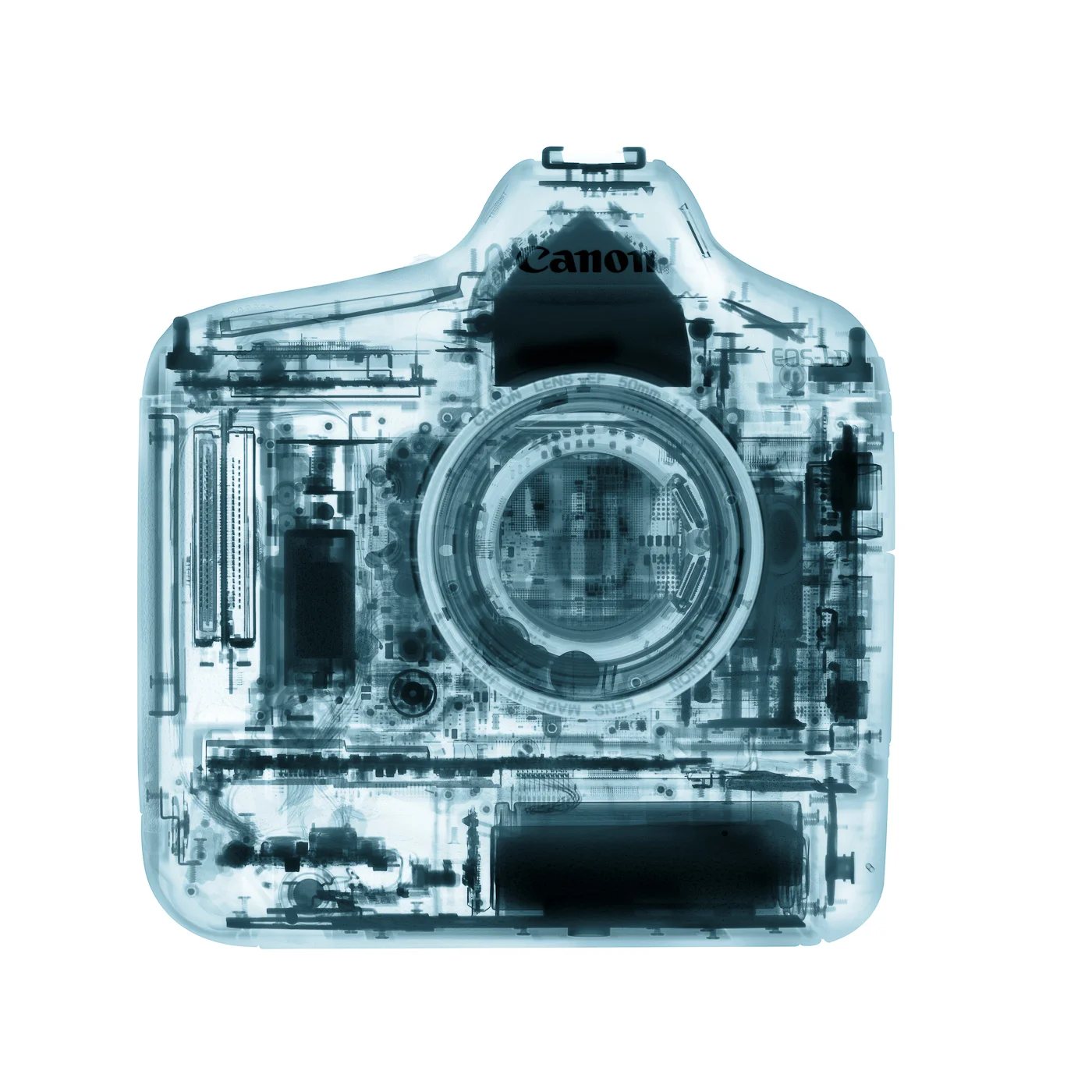 David_Arky_x-ray Canon 1dx.jpg