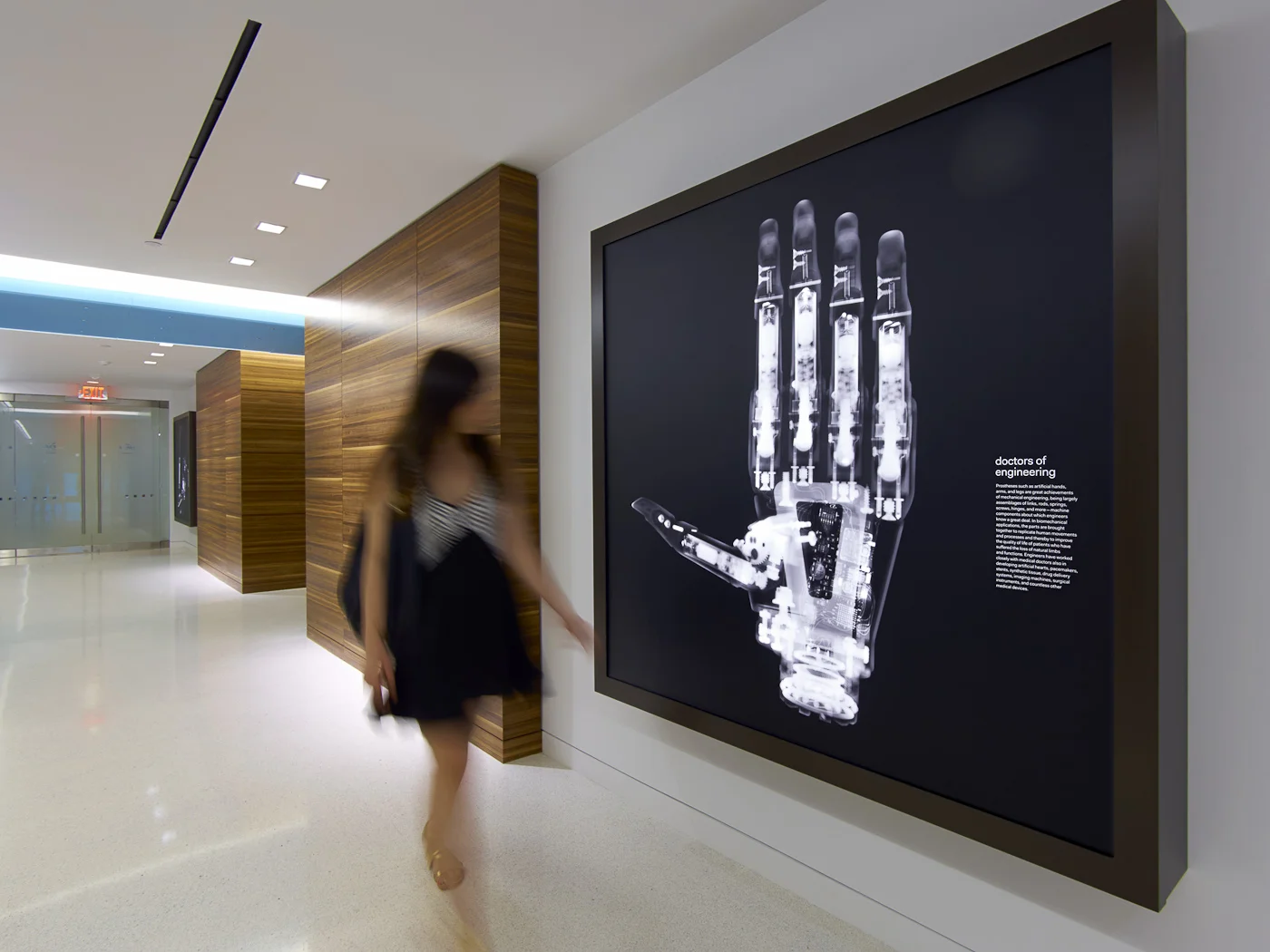 David_Arky_ASME Installation.jpg