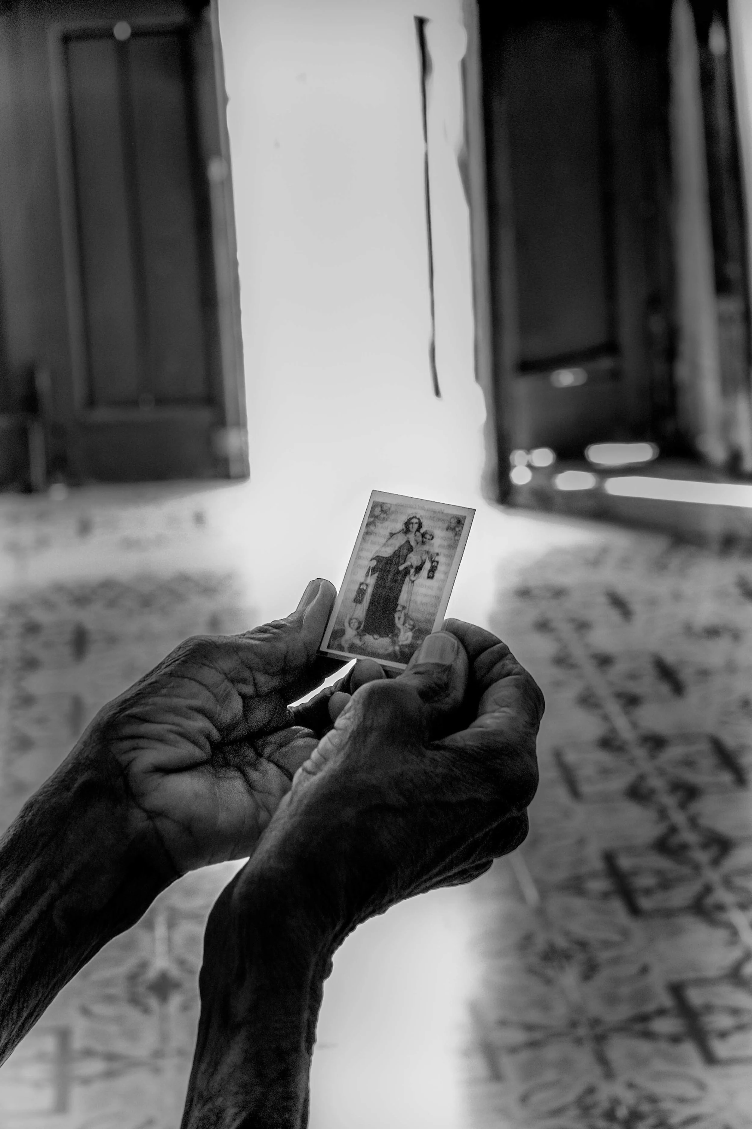 in carmen's hands_3.jpg