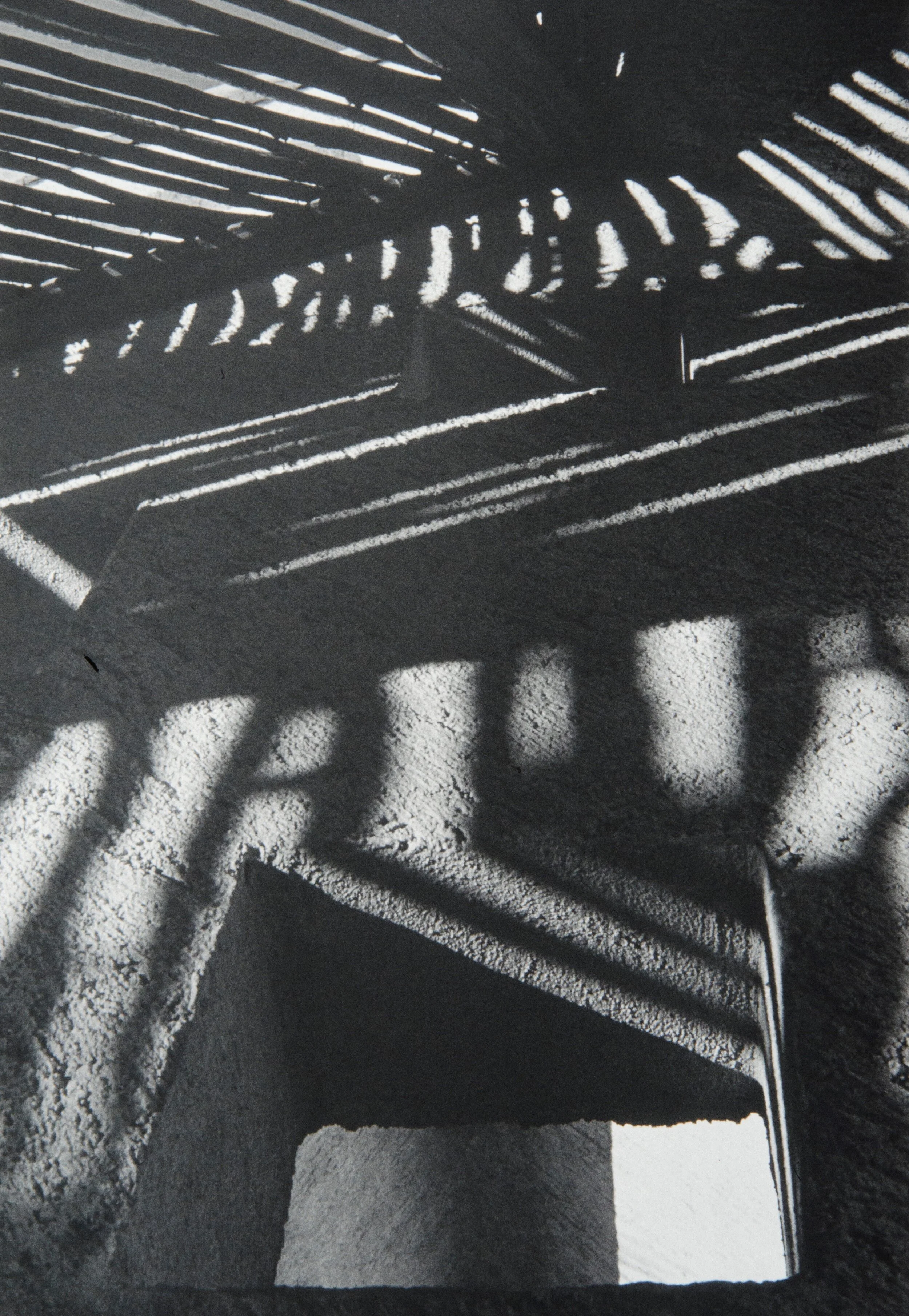 Janice Mehlman - 11.jpeg