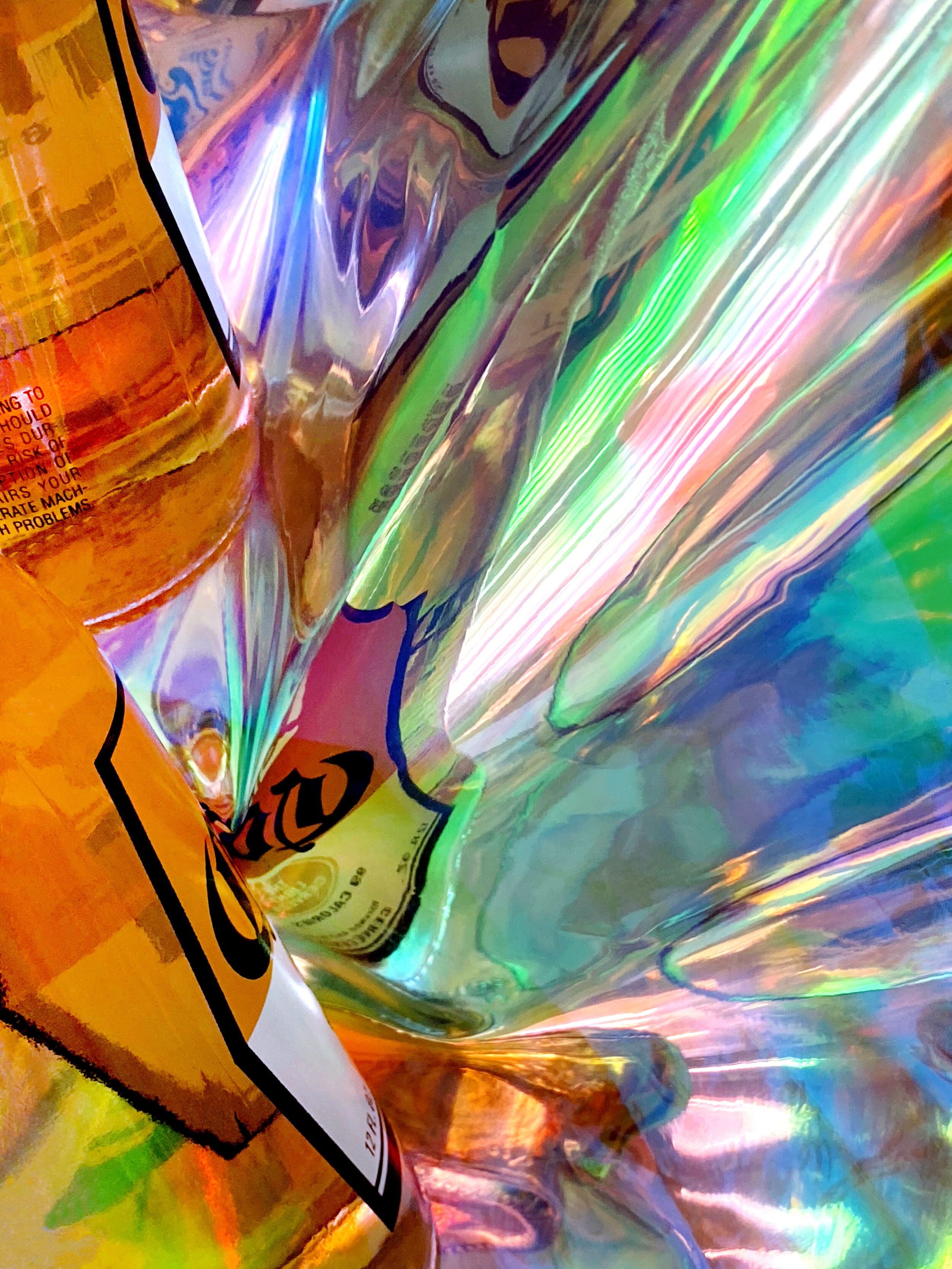 Janice Mehlman - 22.jpeg