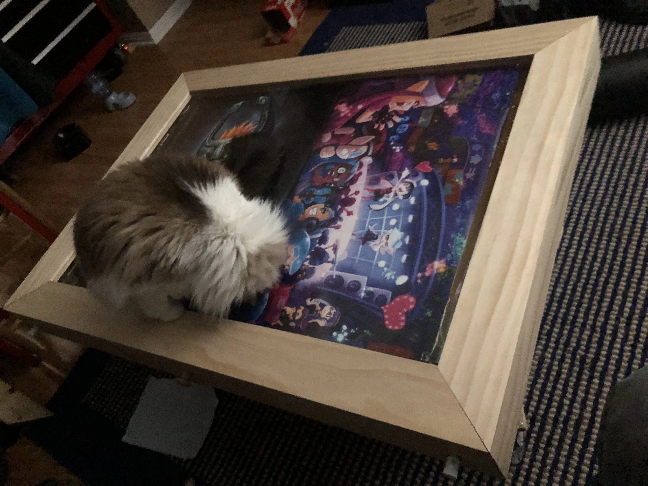  Completely forget to take progress photos for 3.0, but here it is (with my cat’s approval).  