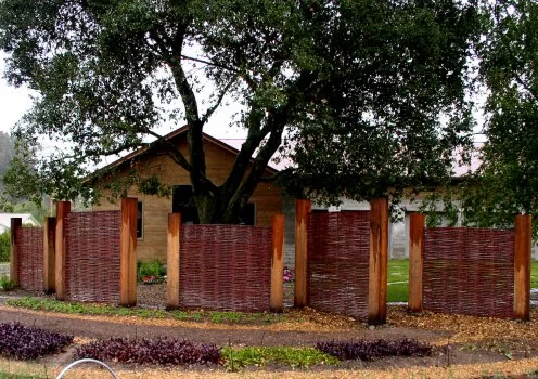 7-17-09.jpg