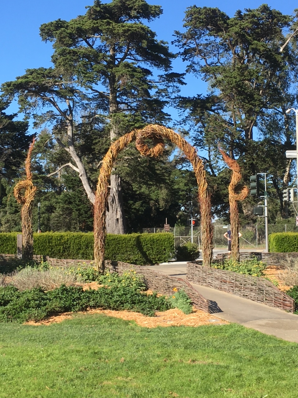 GOLDEN GATE PARK